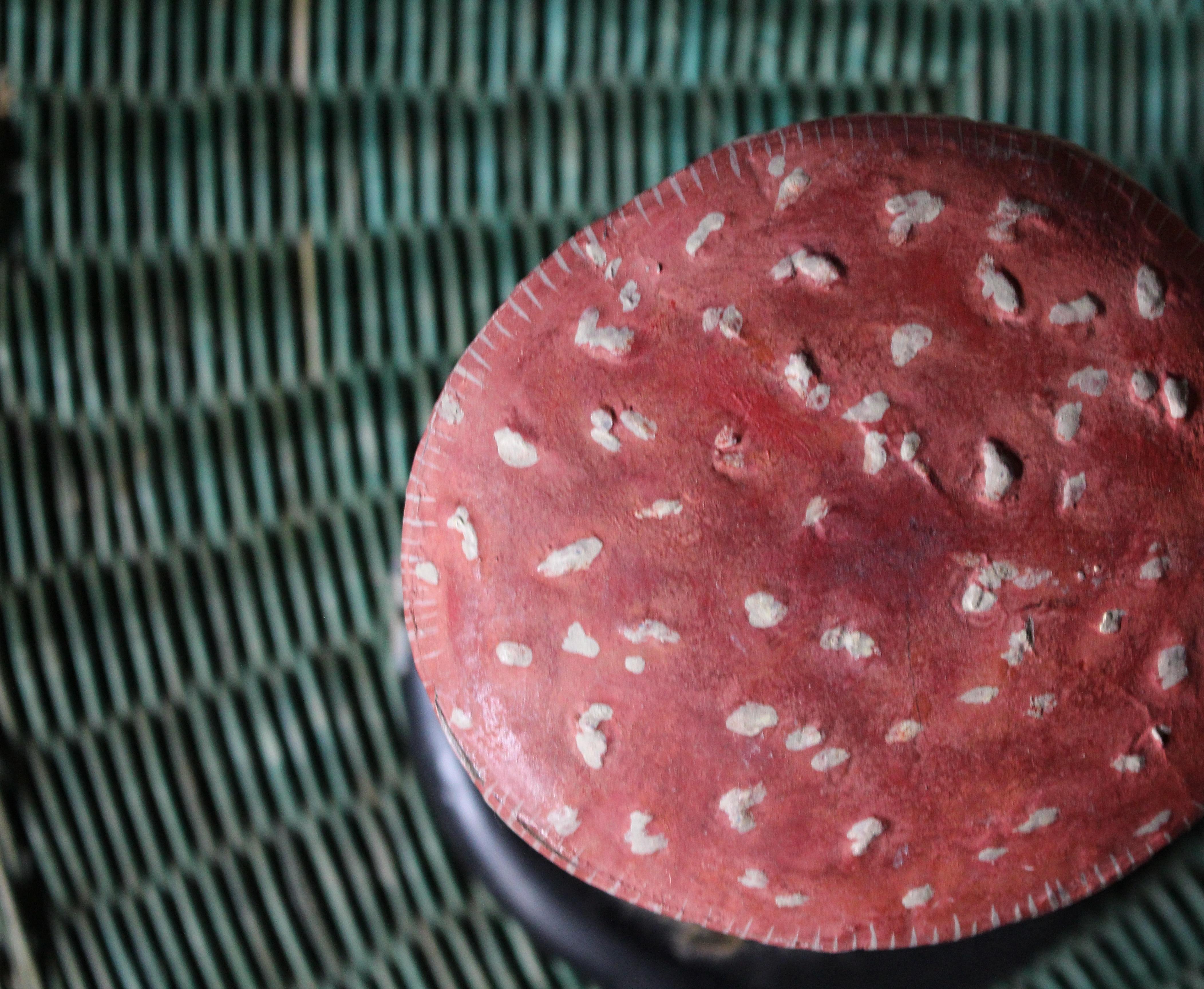 Early 20th Century Death Cap & Fly Agaric Model Fungi Natural History For Sale 3