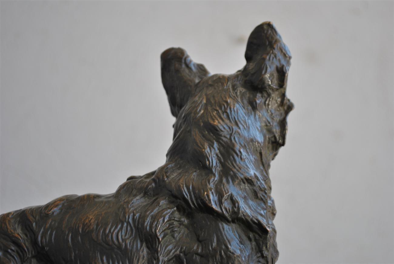 French Early 20th Century Dog Bronze Brown Patina Bronze by Thomas François Cartier
