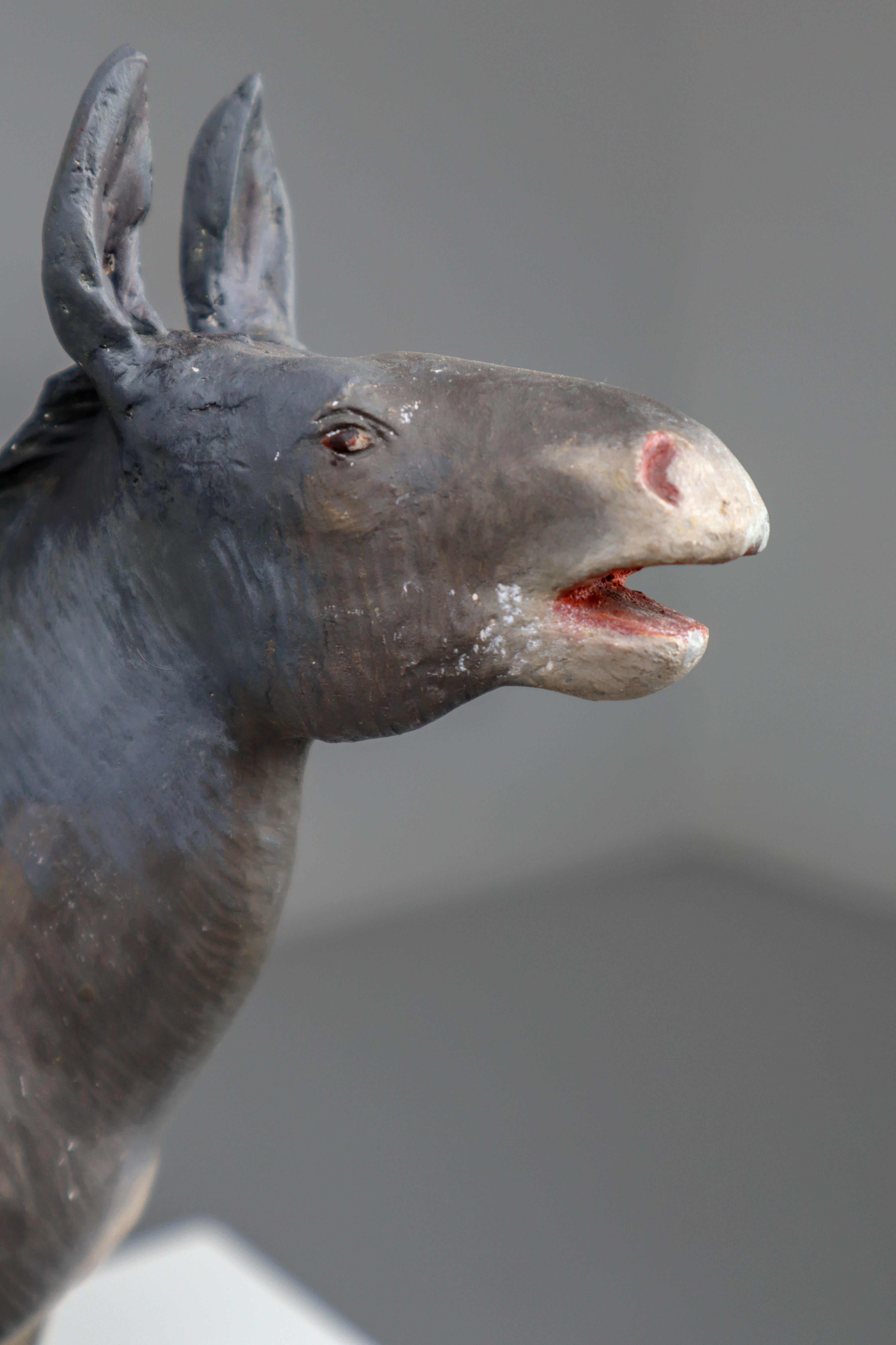 Early 20th Century Donkey Model in Painted Plaster, Germany, 1900 1