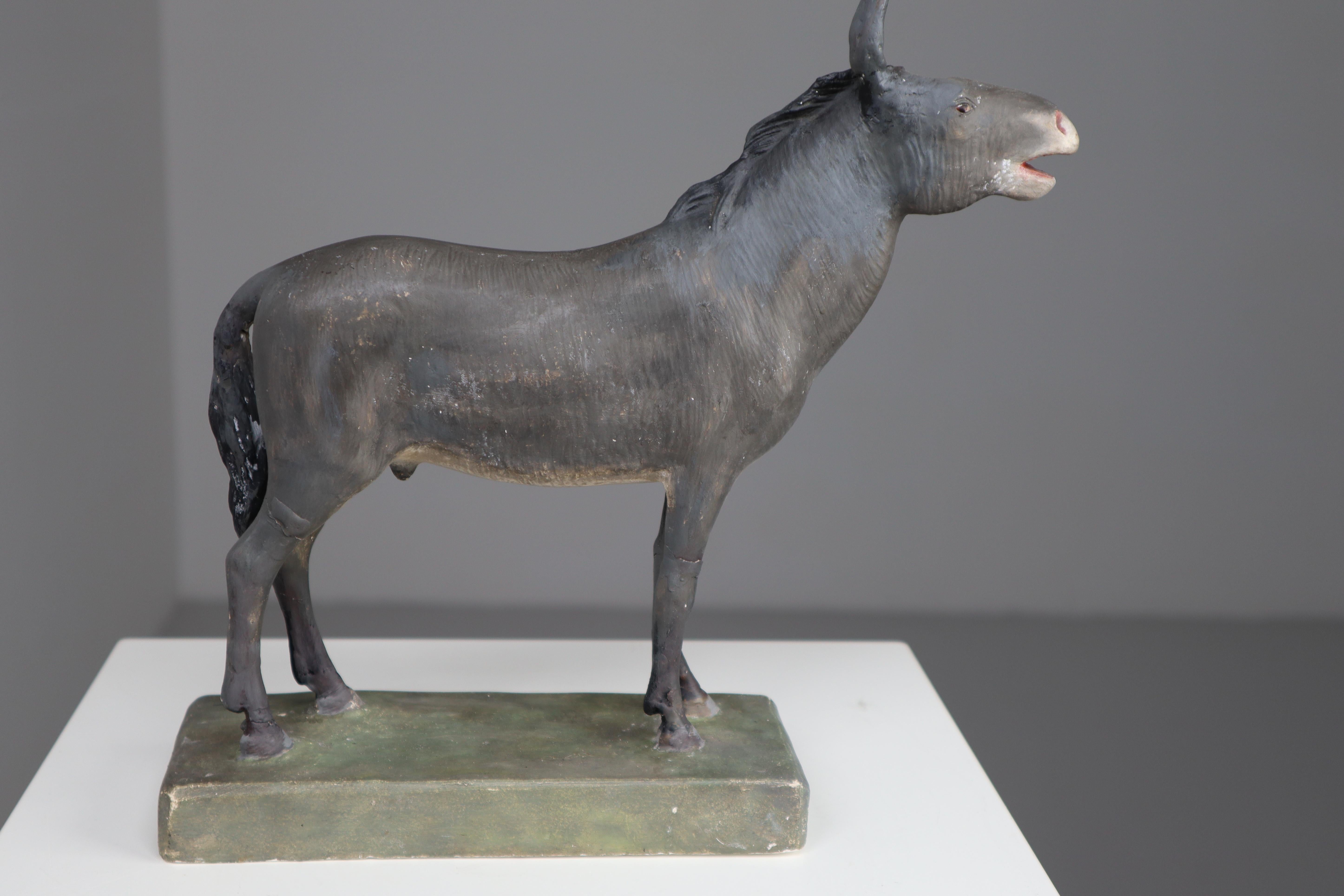 Early 20th Century Donkey Model in Painted Plaster, Germany, 1900 2