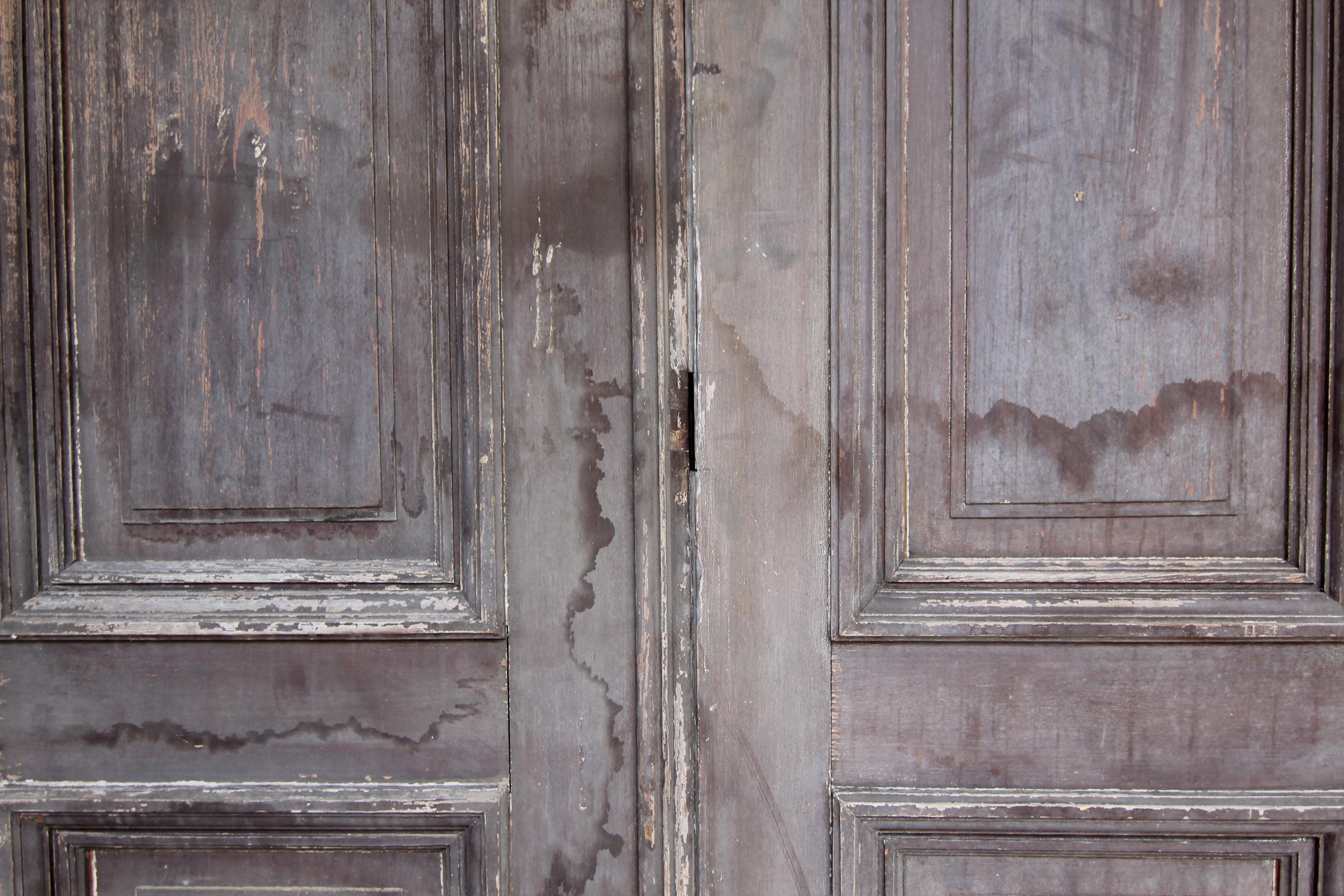Early 20th Century Double Door consisting of 4 Doors For Sale 13
