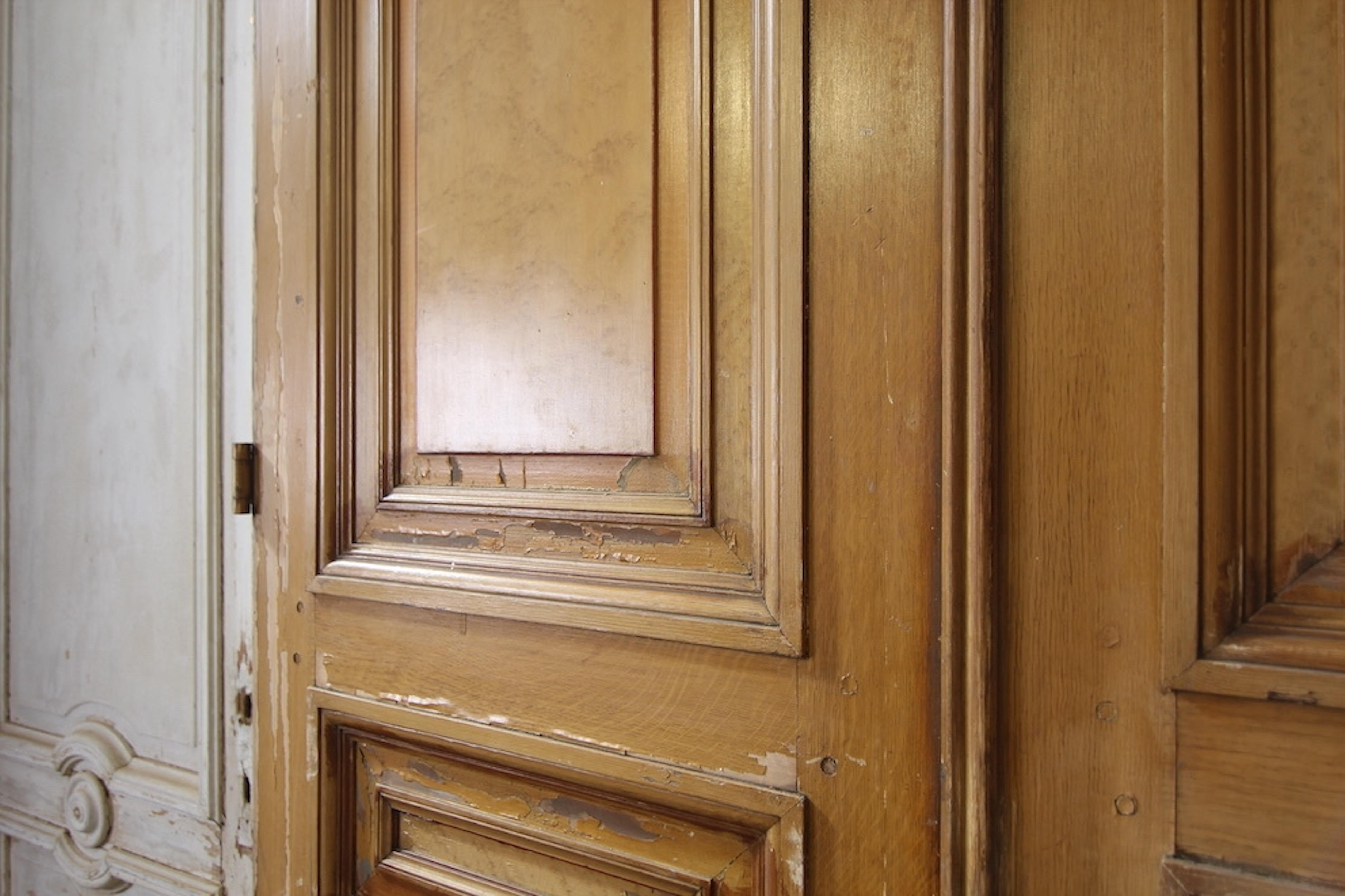 Pine Early 20th Century Double Door in Original Paint
