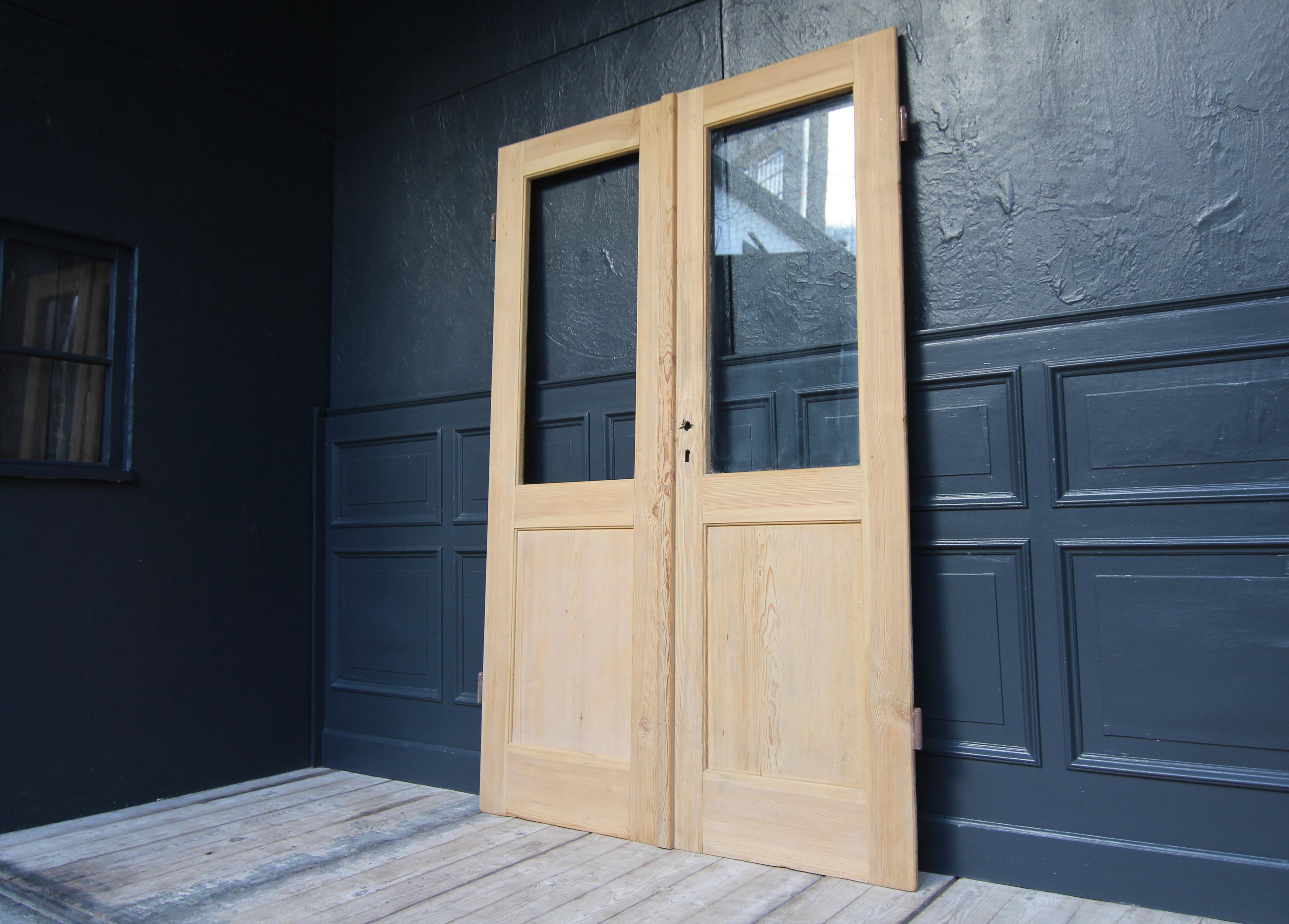 Jugendstil Early 20th Century Double Door made of Pine For Sale