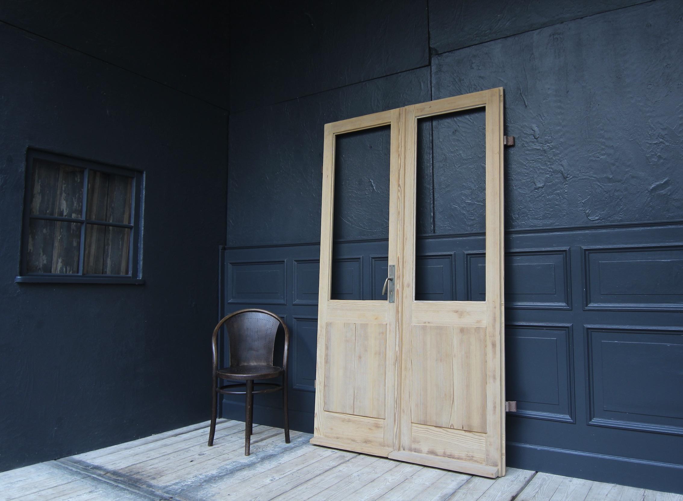 Jugendstil Early 20th Century Double Door made of Pine For Sale