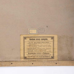 Early 20th Century Dragonflies Educational Poster