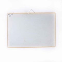 Early 20th Century Dragonflies Educational Poster