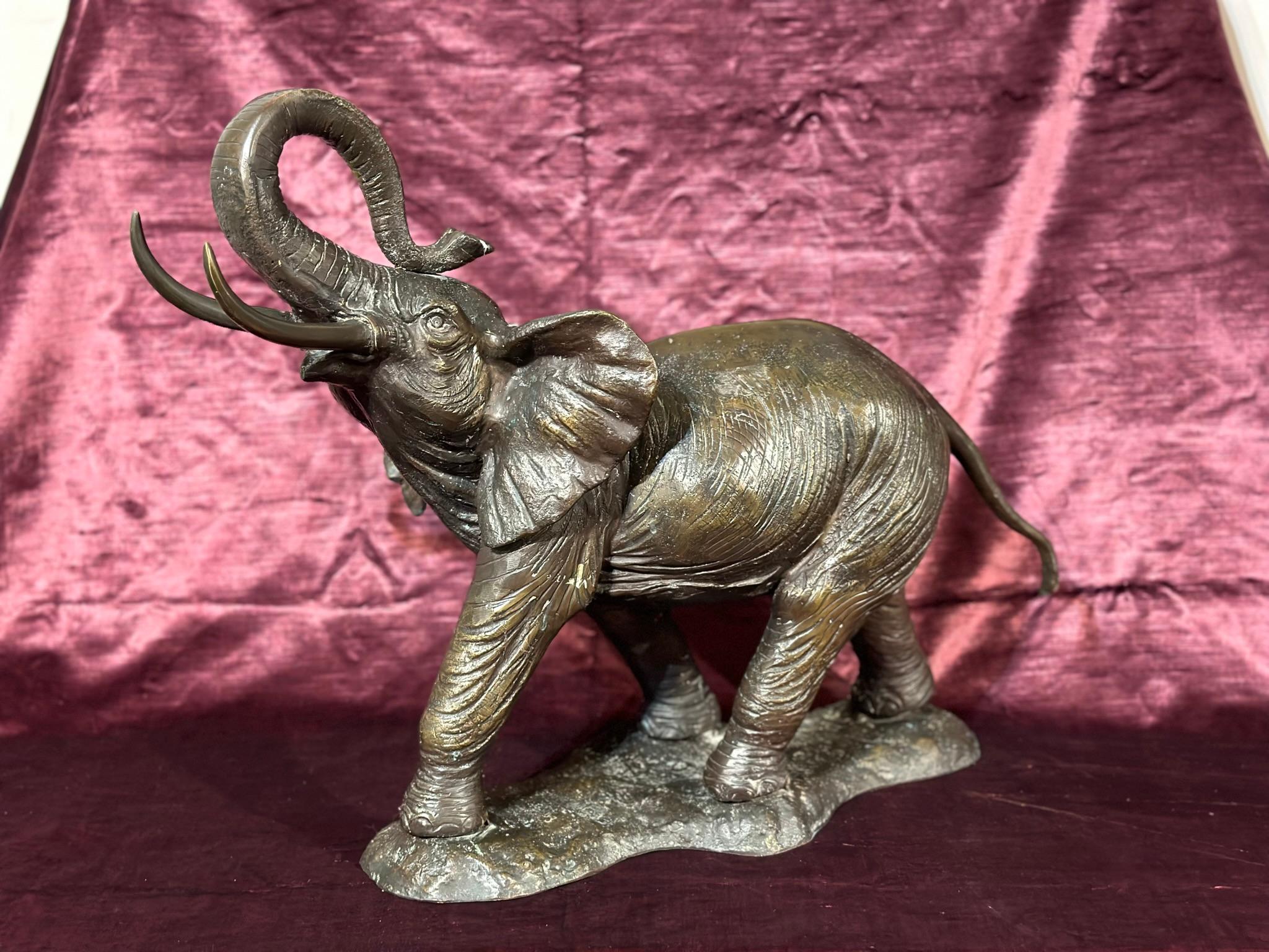 Large bronze sculpture depicting an elephant with raised trunk. Typical Tuscan foundry manufacture from the early 1900s. Burnished investment casting.

Measurements: HxWxD 45 x 56 x 23 cm