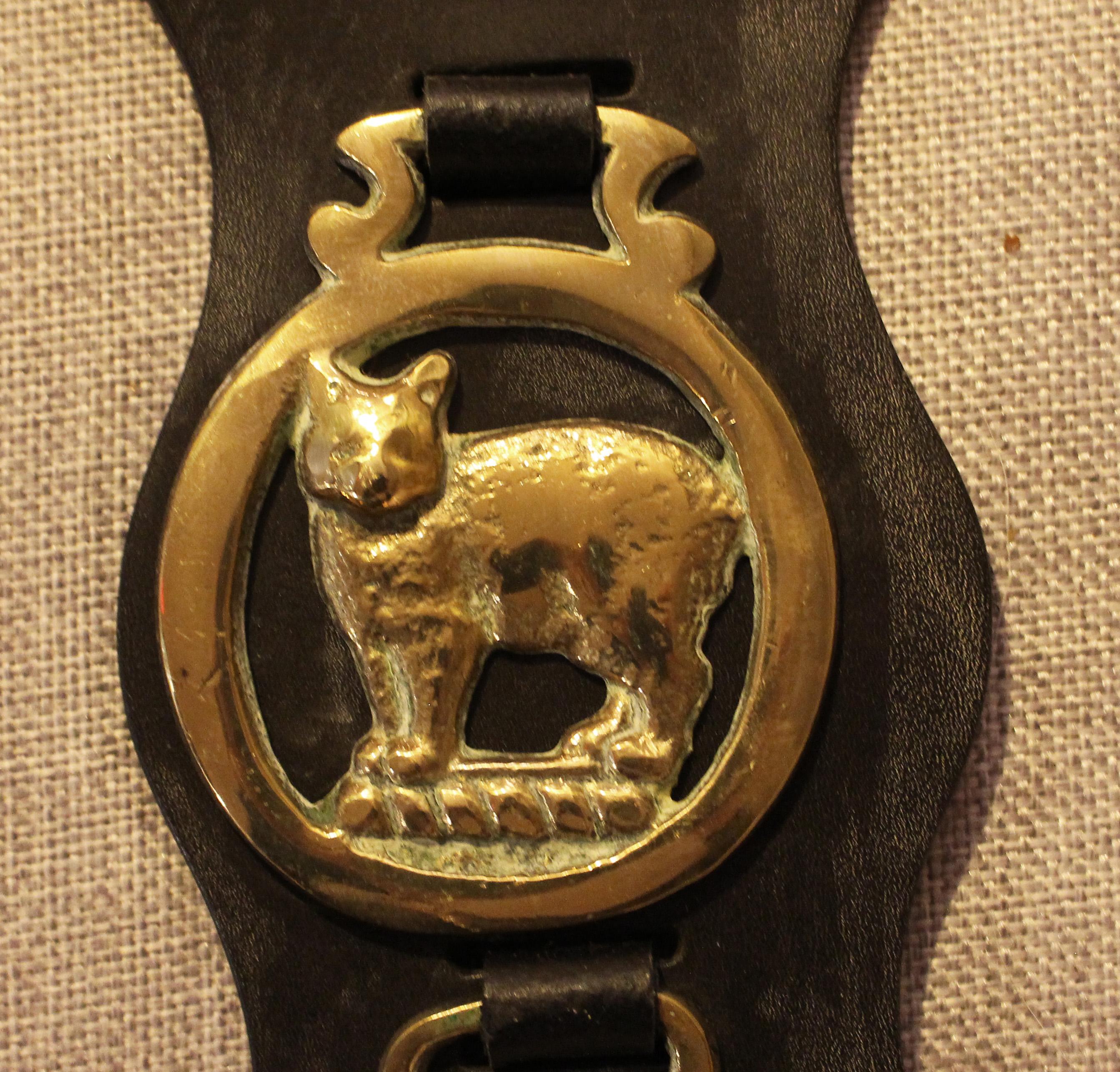 Late Victorian Early 20th Century English 4-Brass Leather Horse Strap For Sale