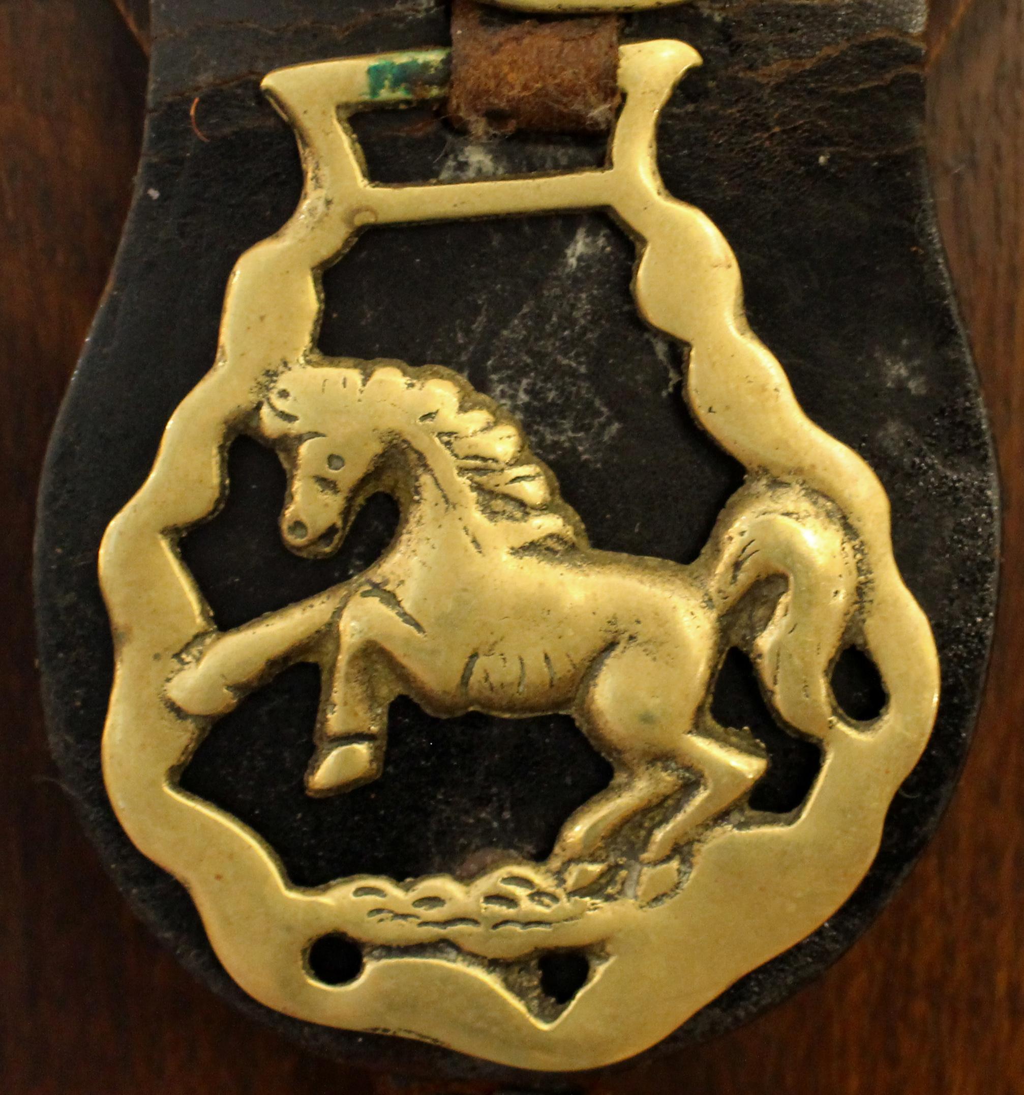 XX secolo Early 20th Century English 4-Brass Leather Horse Strap in vendita