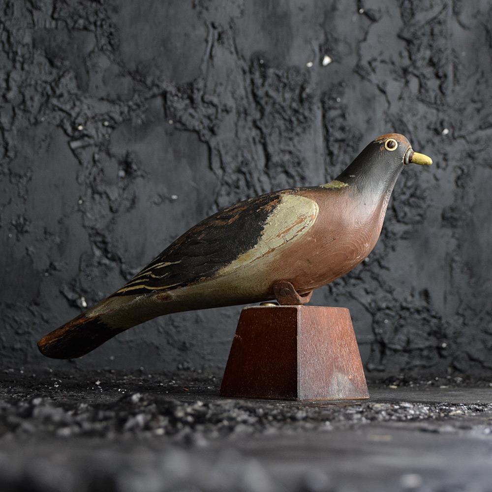 Early 20th Century English Carved Decoy Pigeon 1