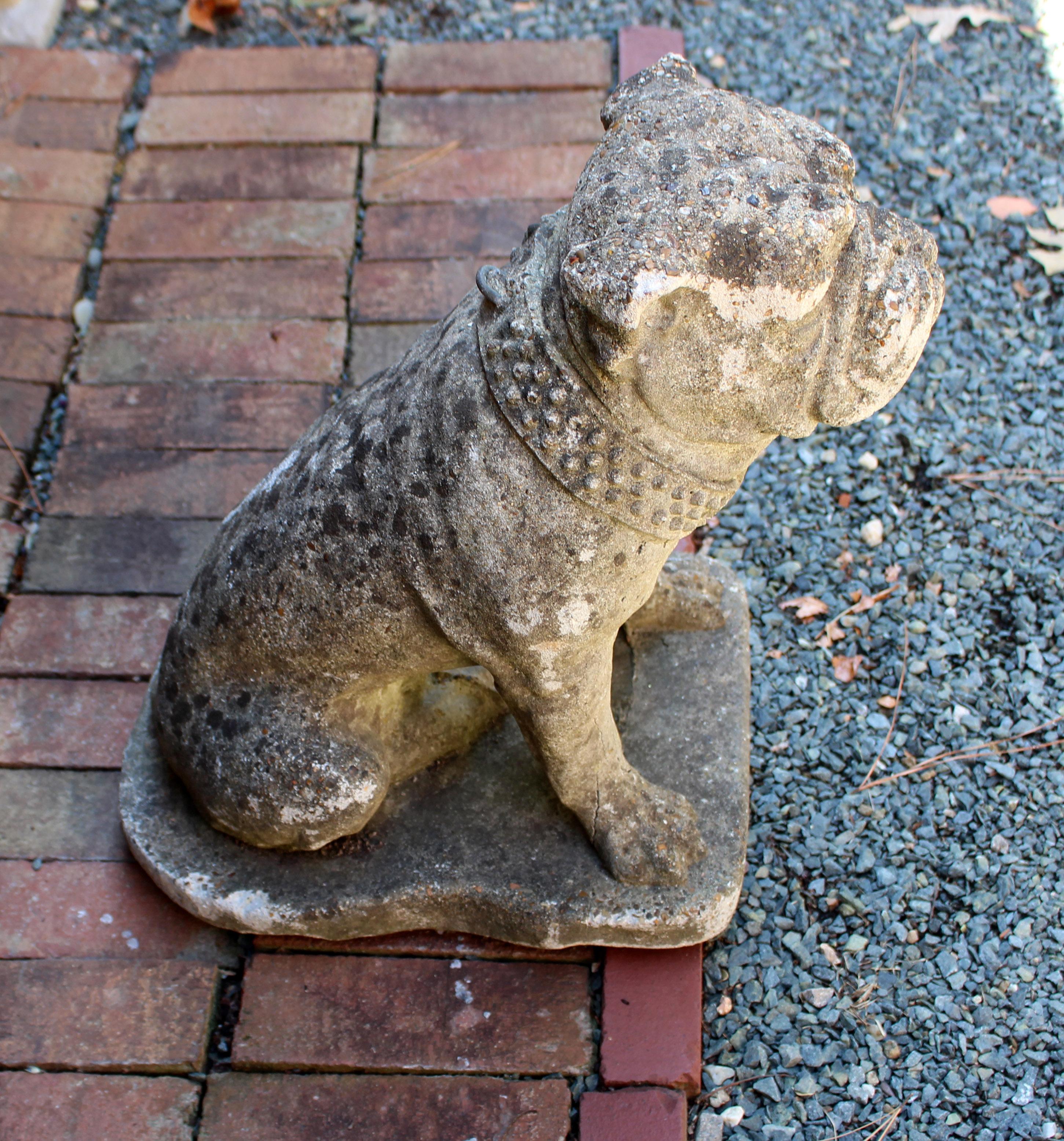 Early 20th century large cast stone bulldog garden statue, English. Nicely cast - great face & paws! Note the robust collar. Wonderful weathered surfaces. Some stone facing loss to one front leg and crack to stone facing on the other.
18