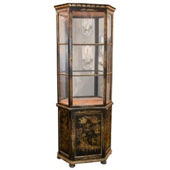 Early 20th Century English Chinoiserie Decorated Display Cabinet