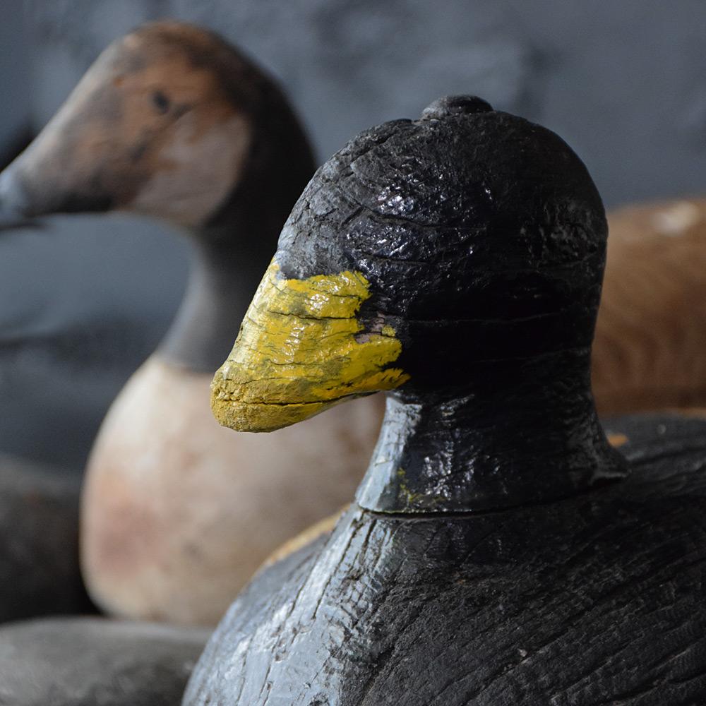 We are proud to offer a rare example of a late 19th century hand carved form of a decoy, possibly a coot. A heavily weathered working example with an unusual lead weight keel, old repairs with leather pieces and over painted surface have taken place