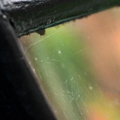 Early 20th century English distorted glass fairground mirror