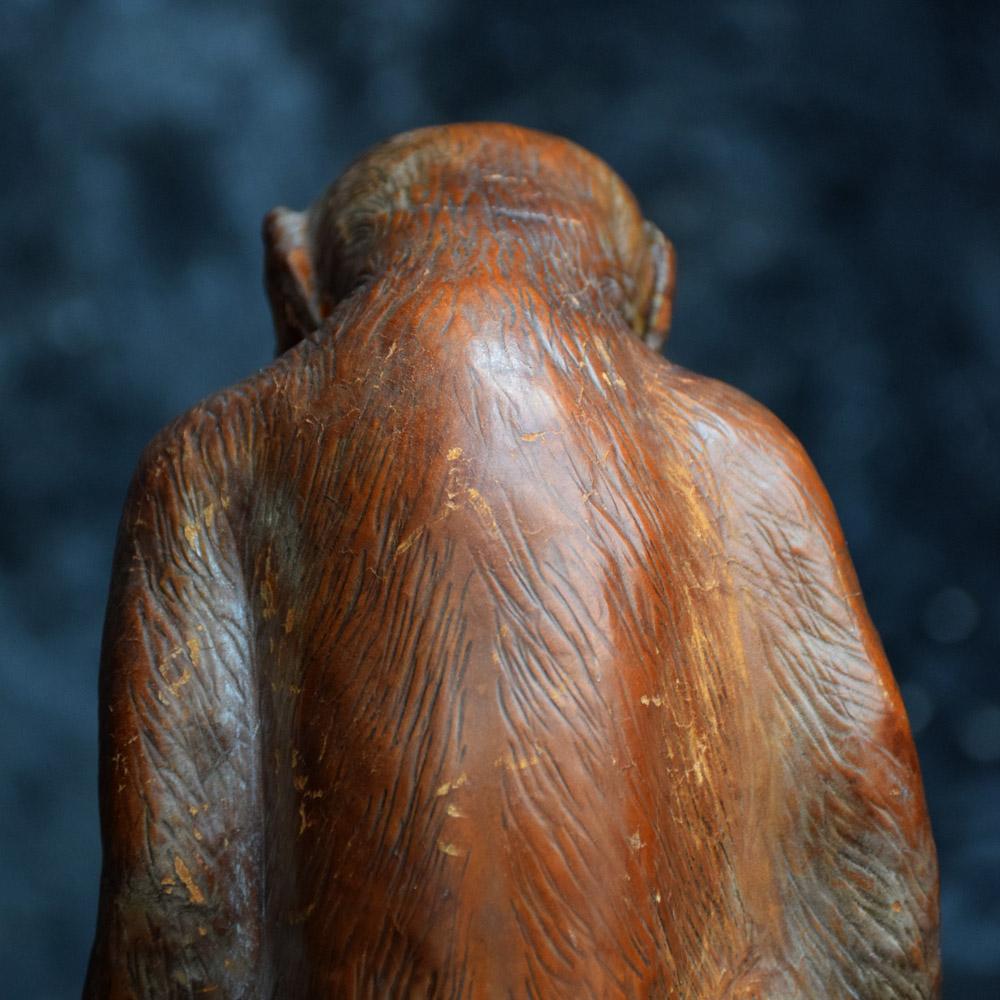 Scimmia in pelle di arte popolare inglese dei primi del Novecento 1