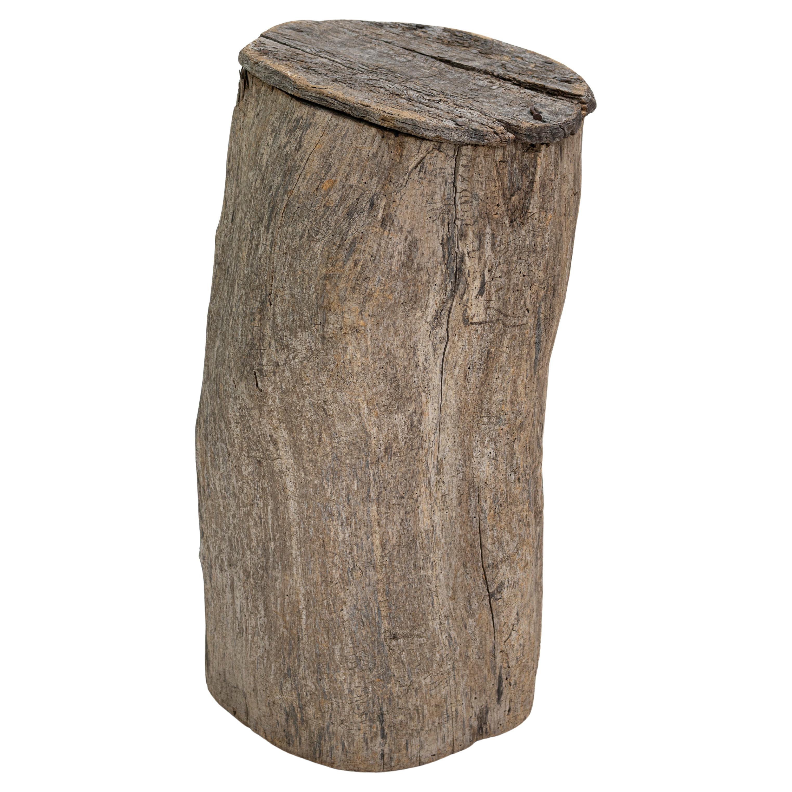 Early 20th Century English Natural Tree Trunk Pedestal