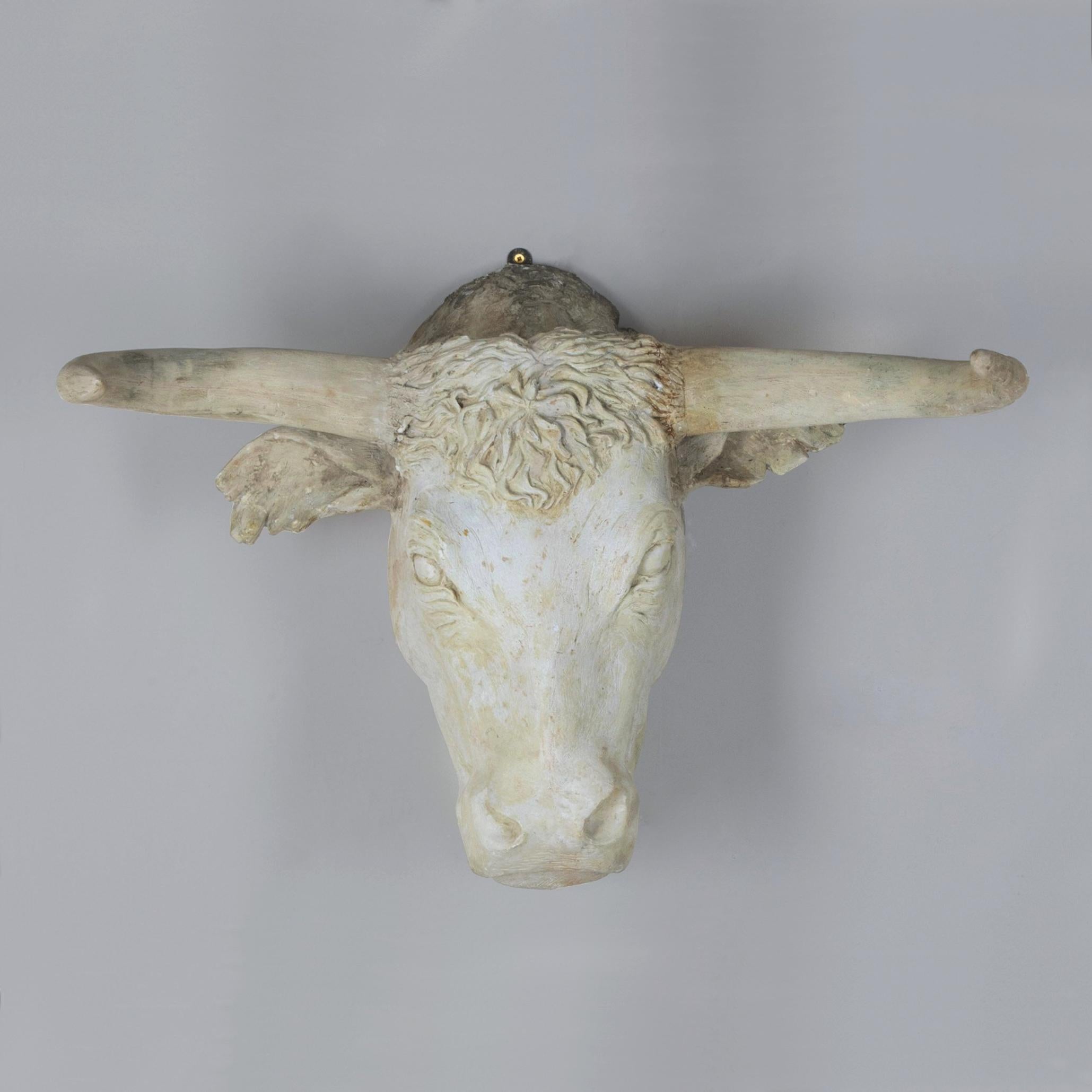 Ein realistisch modellierter englischer Gipsstierkopf aus dem frühen 20.

Möglicherweise die Auslage einer Metzgerei. Ca. 1920.

Ein herrlich skurriles und einzigartiges Stück.