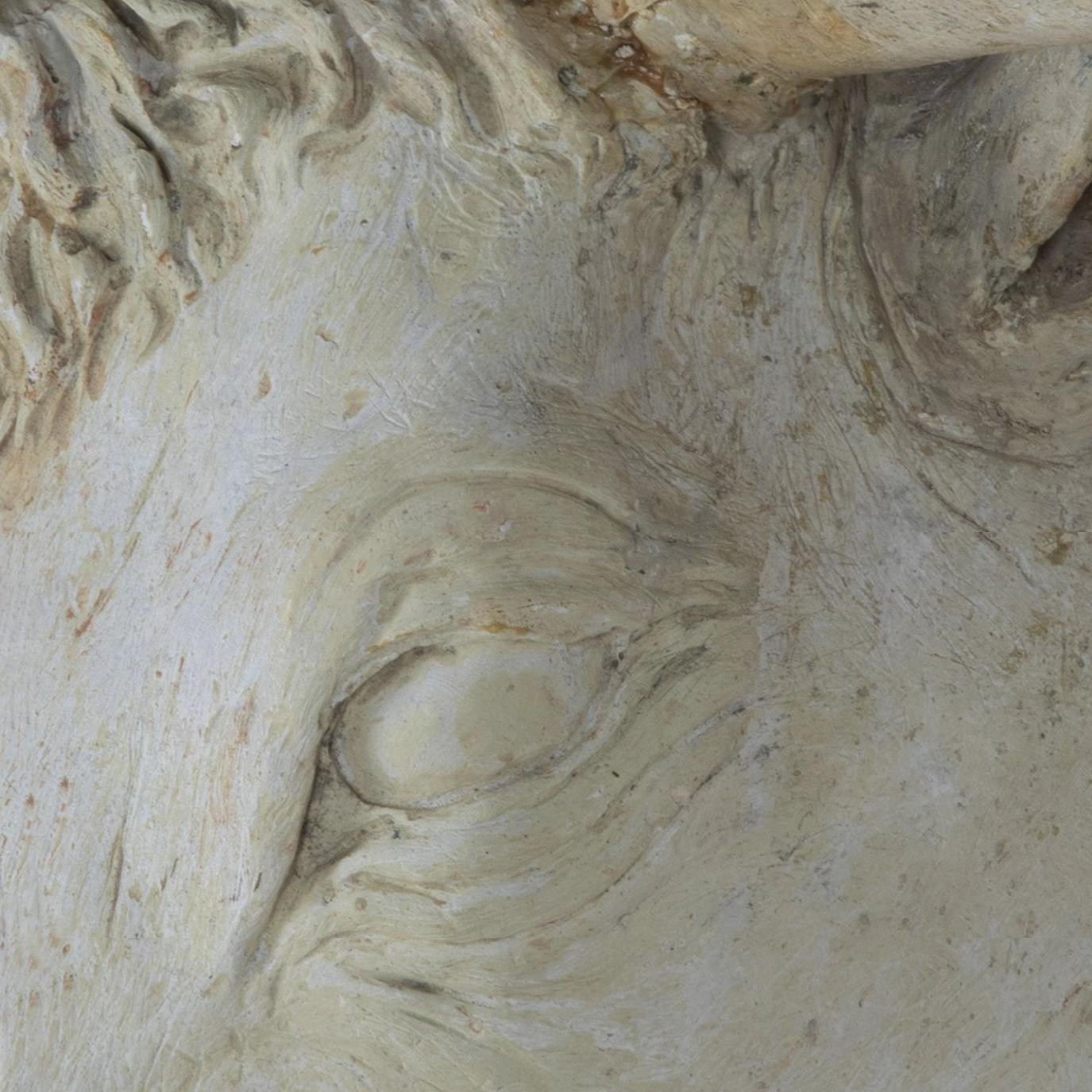 Englischer Stierkopf aus Gips aus dem frühen 20. im Angebot 1