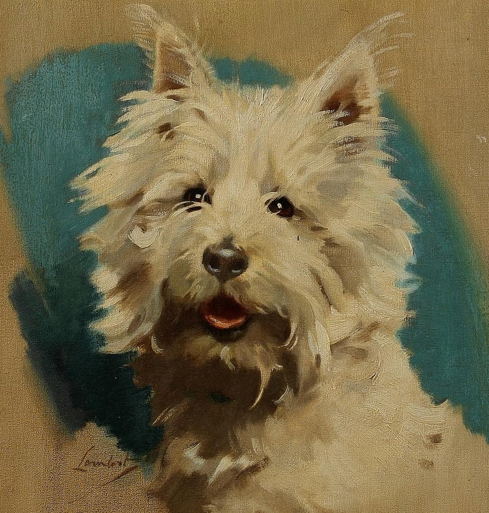 Un bellissimo ritratto di un West Highland Terrier realizzato negli anni '30 a olio su tela. Un lavoro di qualità eccellente e insolito con il tocco di colore dietro la testa. Firmato in basso a sinistra e presentato in una cornice