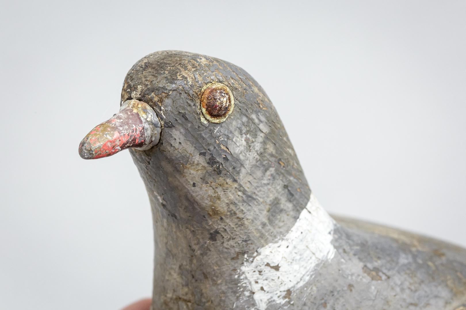 Wonderful early 20th century English wood pigeon decoy, found, turn of the 19th and 20th century in his original painted finish. Metal beak and iron eyes. Untouched distressed finish.