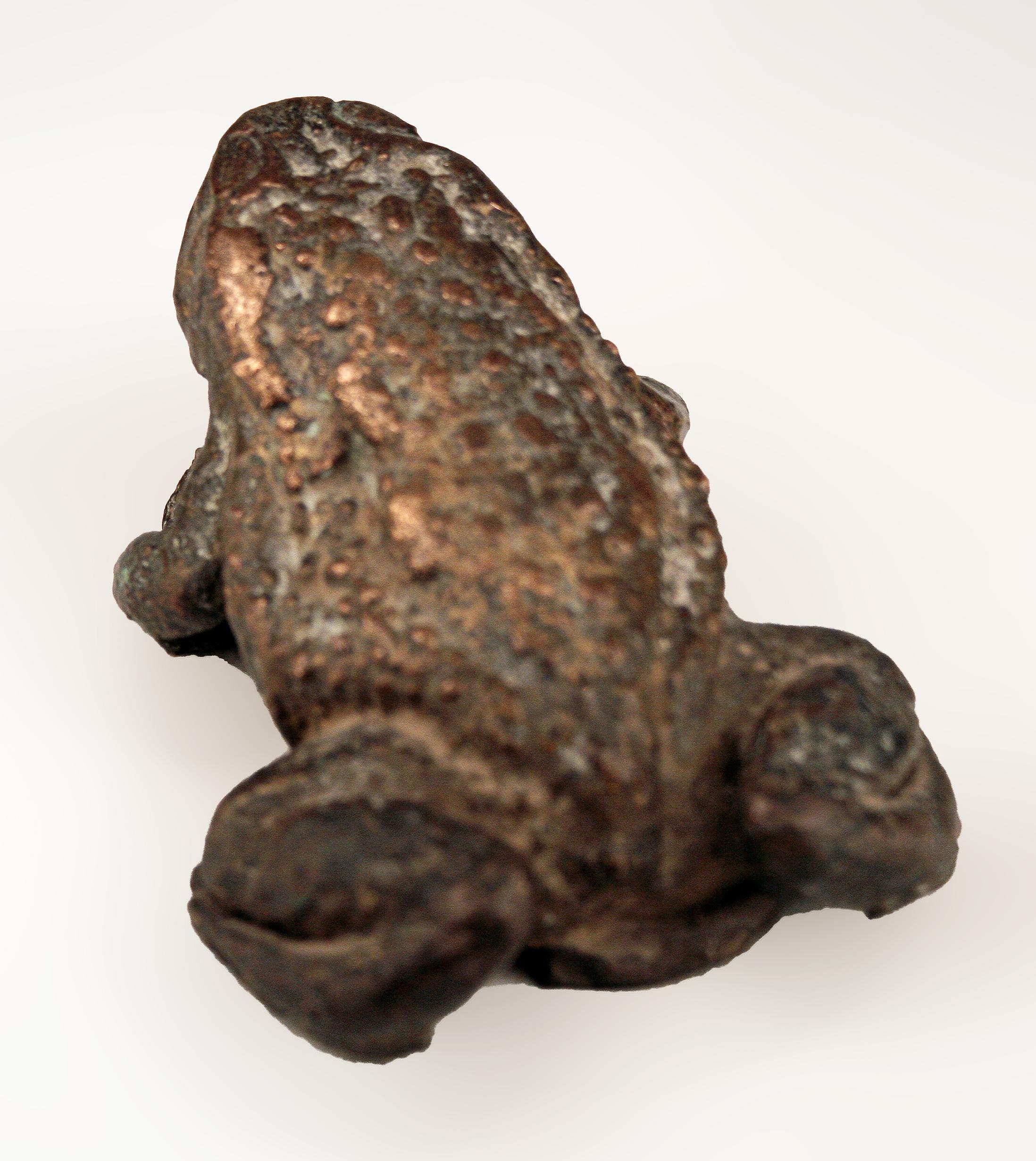 Early 20th Century Expressionist Giacometti-Like Patinated Bronze Toad Sculpture 2