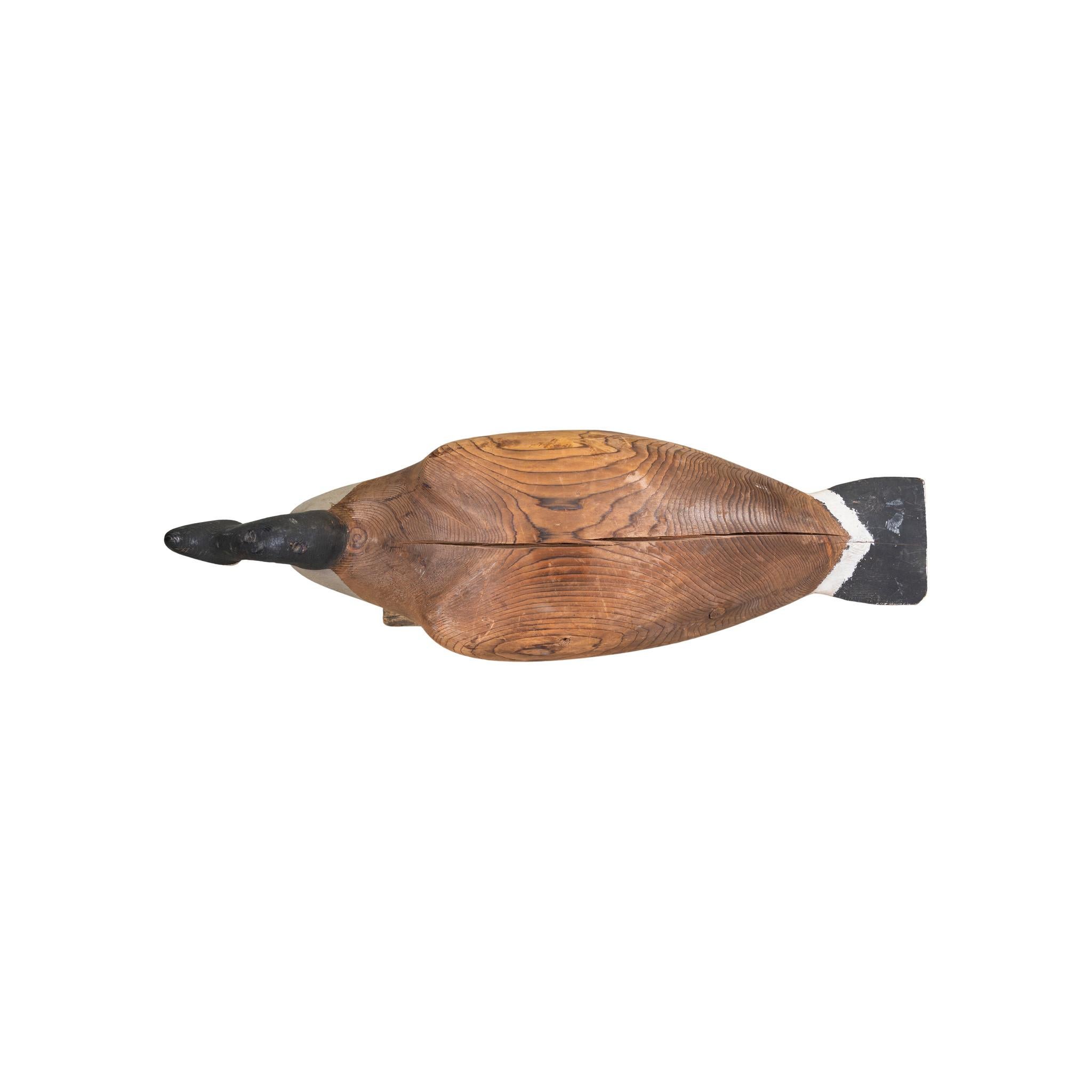Carved and painted Canadian goose decoy. Well painted head and under body. Back unpainted. Hunter used. Natural wood grain looks like wings and feathers.

Period: Early 20th century

Origin: Eastern United States

Size: 22 1/2