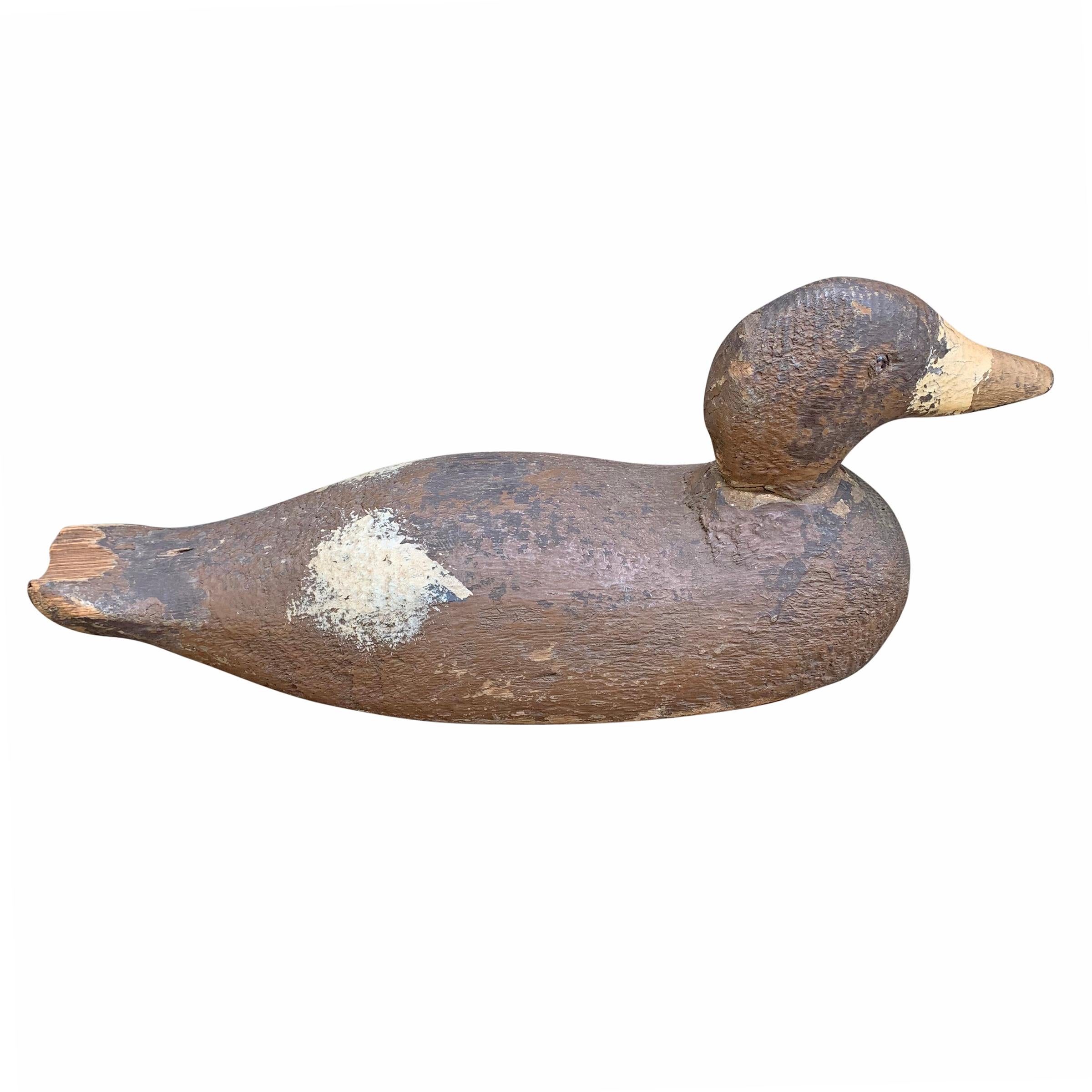 A wonderfully early 20th century American carved wood female mallard duck decoy with glass eyes, its original paint and a fantastic surface showing decades of wear.
