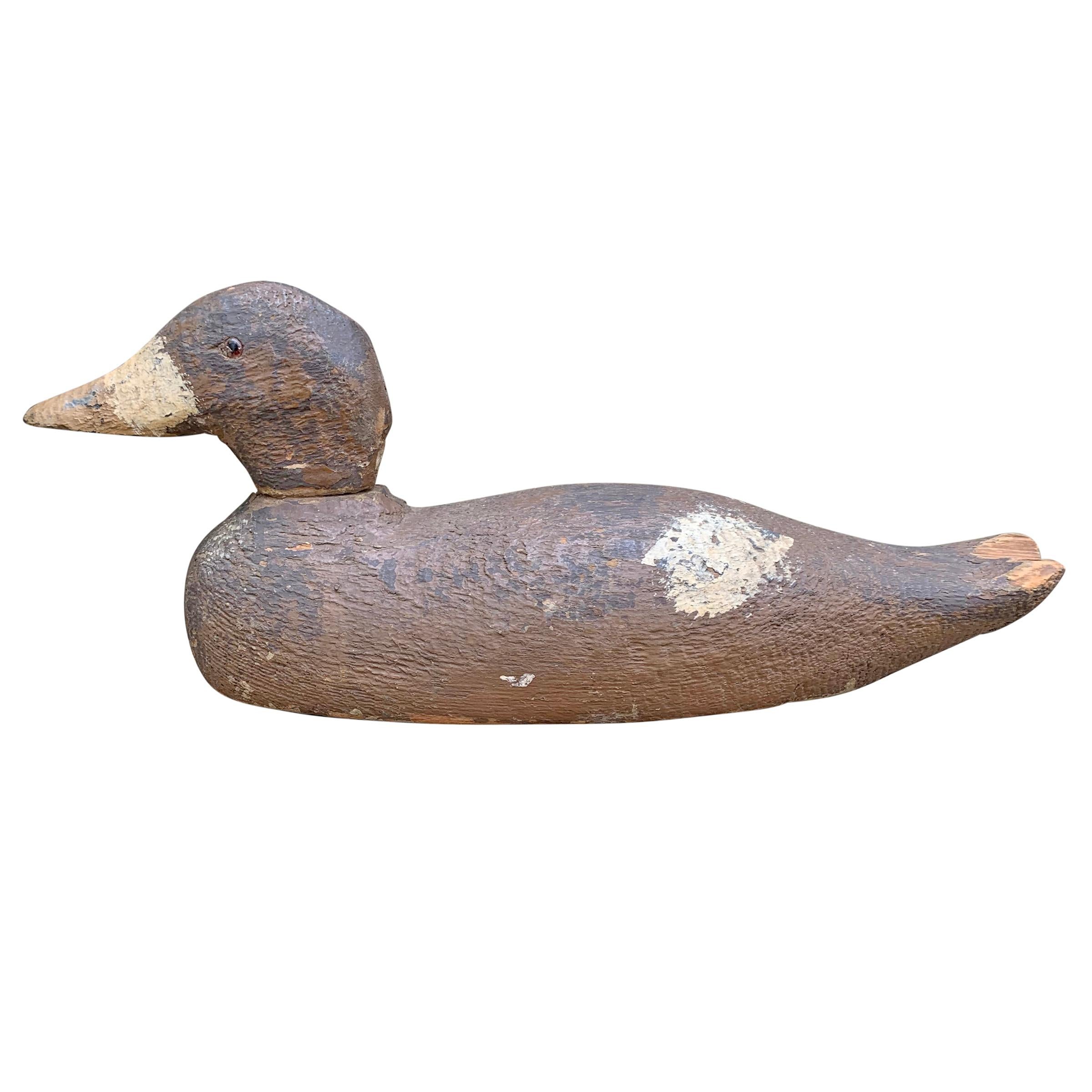 Country Early 20th Century Female Mallard Duck Decoy