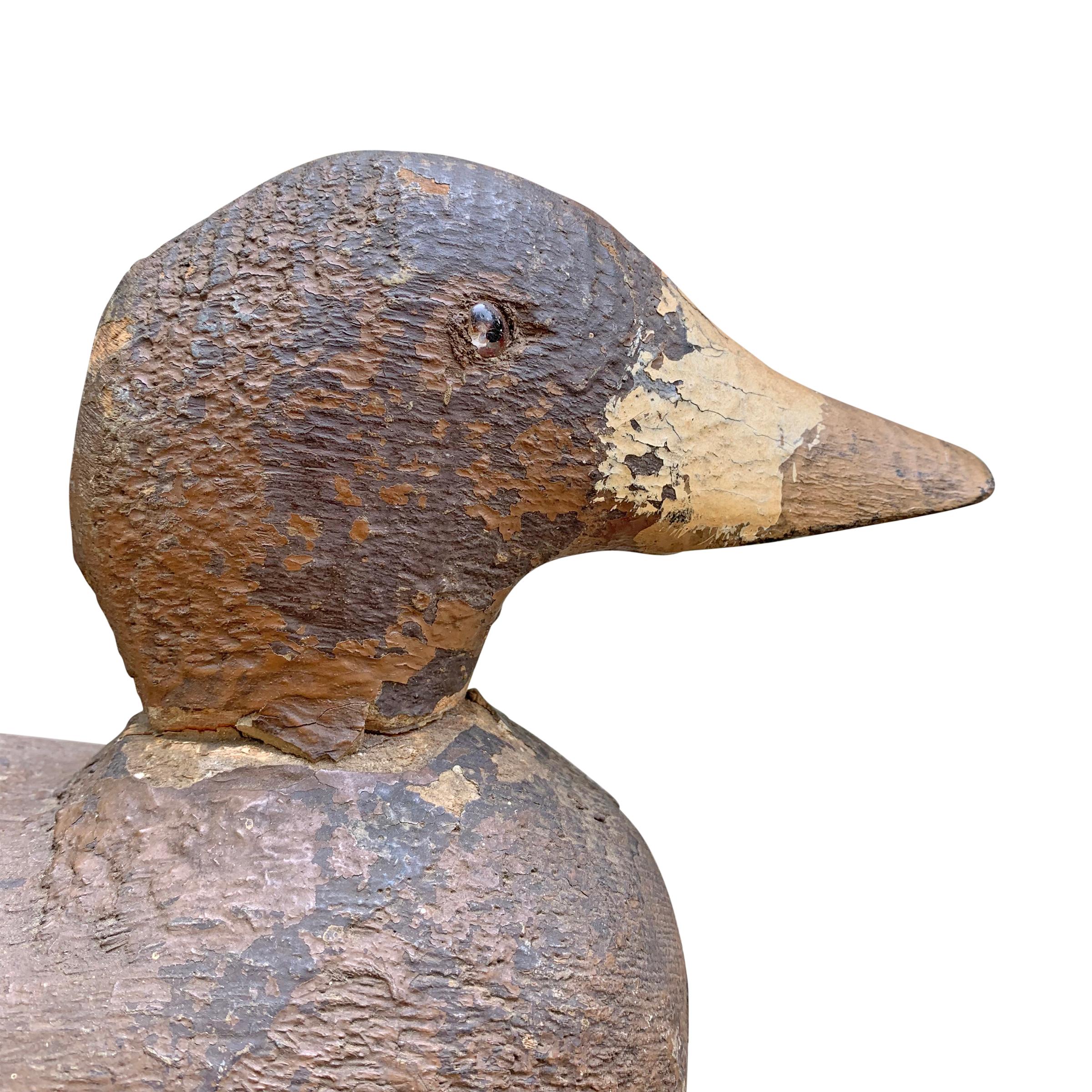 American Early 20th Century Female Mallard Duck Decoy