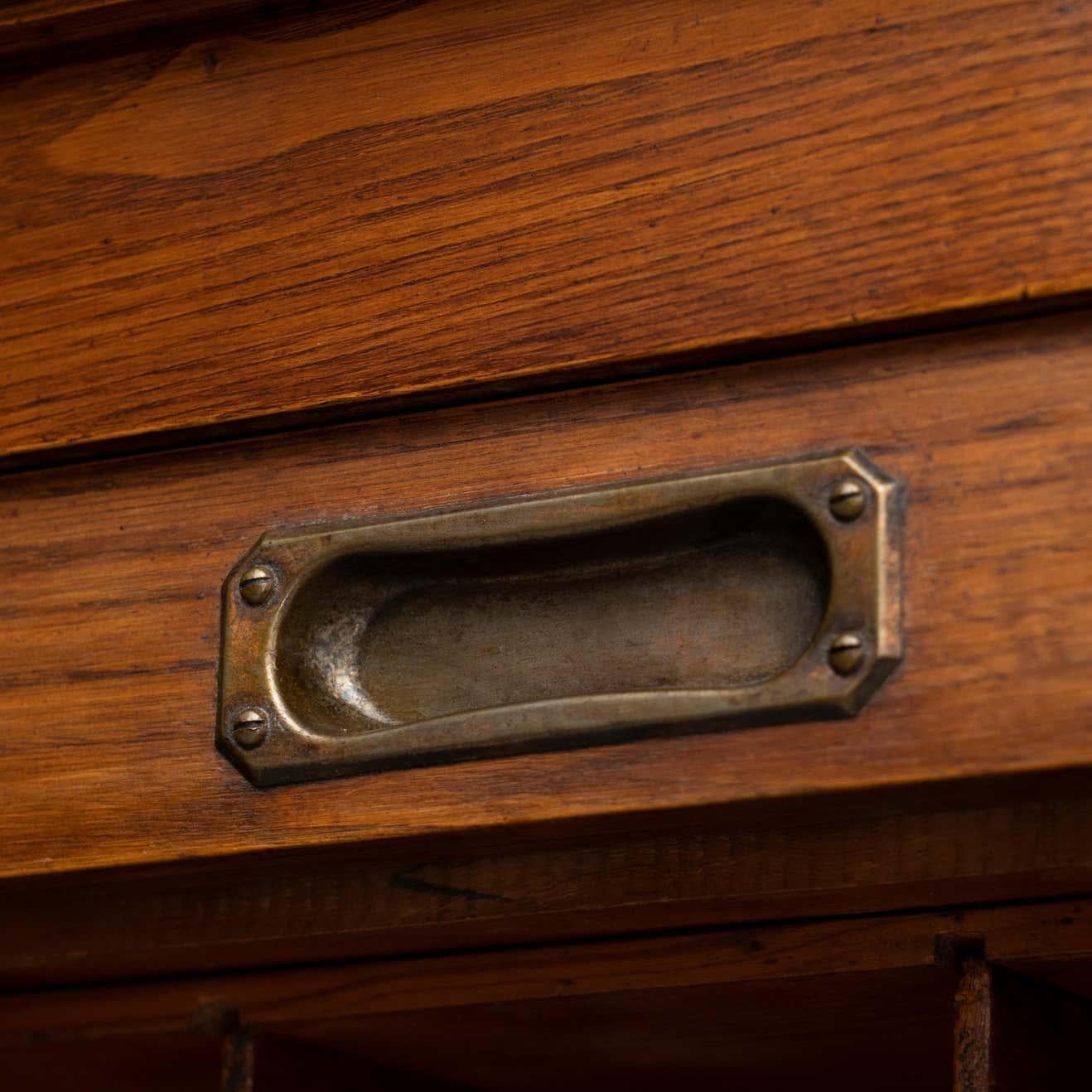 Classeur du début du 20e siècle avec deux portes à persiennes en vente 7