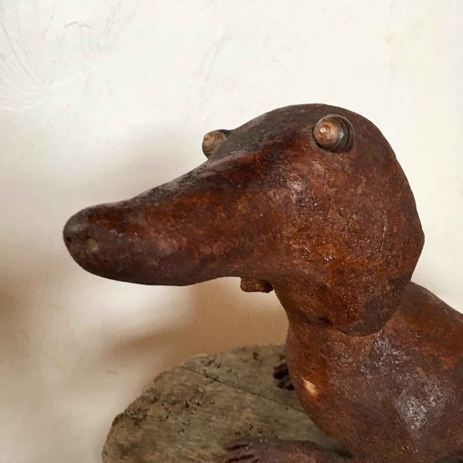 Early 20th century Folk Art driftwood dachshund, circa 1920, a natural form piece of driftwood that has been augmented with the addition of inset Periwinkle shell eyes, two drilled nares at tip of snout, modeled (clay?) ears, legs and paws, all