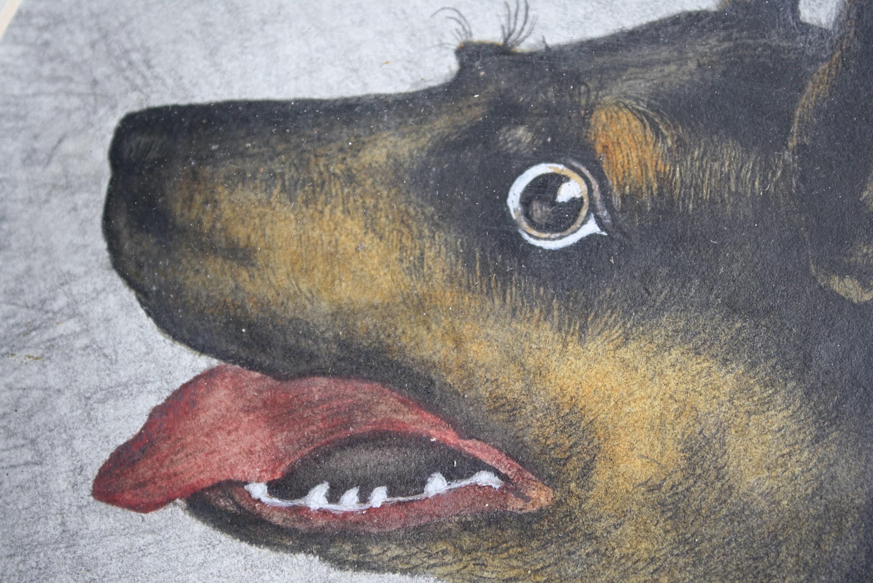 Early 20th Century Folk Art Pencil on Paper Odd Dog 