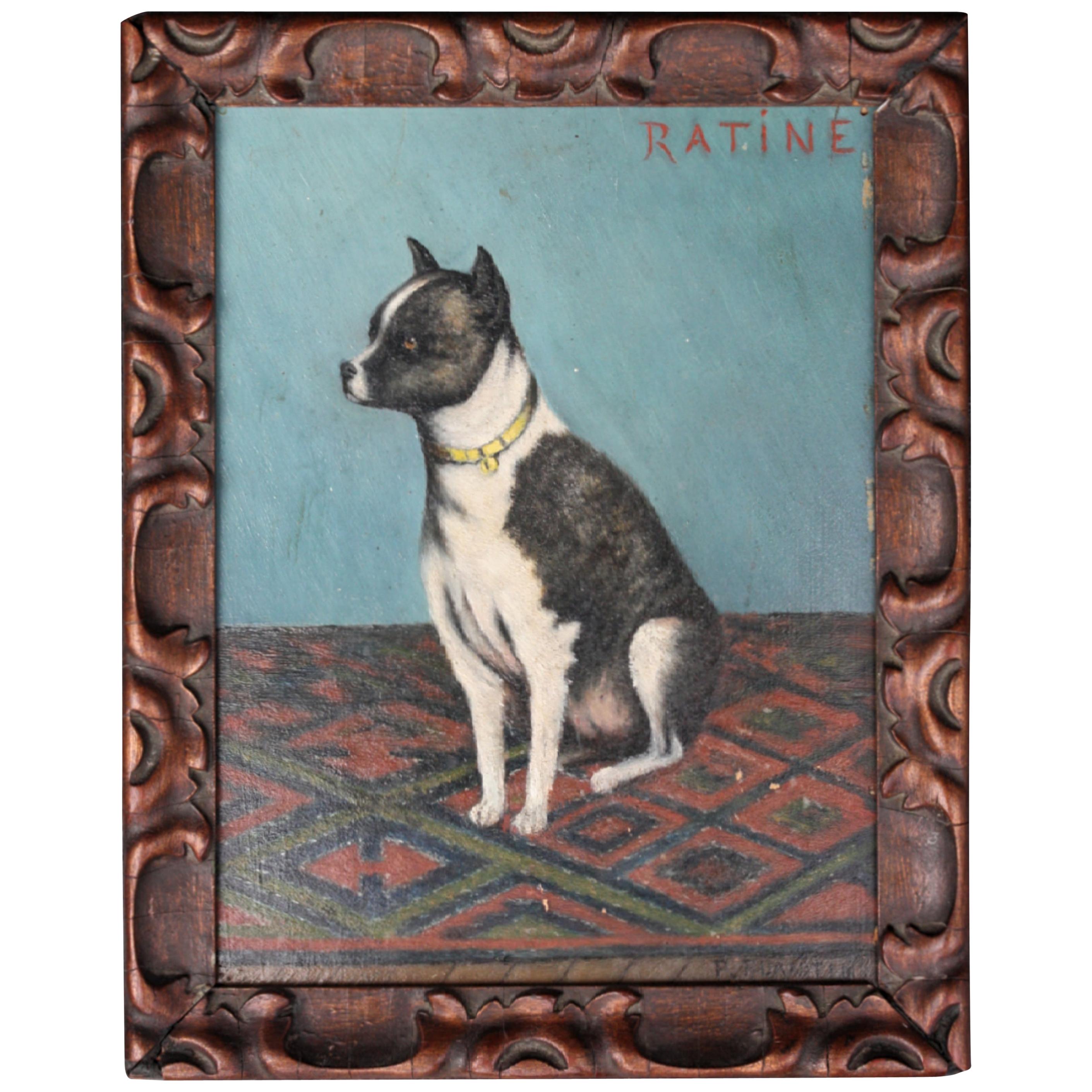Early 20th Century Folk Art Staffordshire Bull Terrier Dog Ratine Oil on Board
