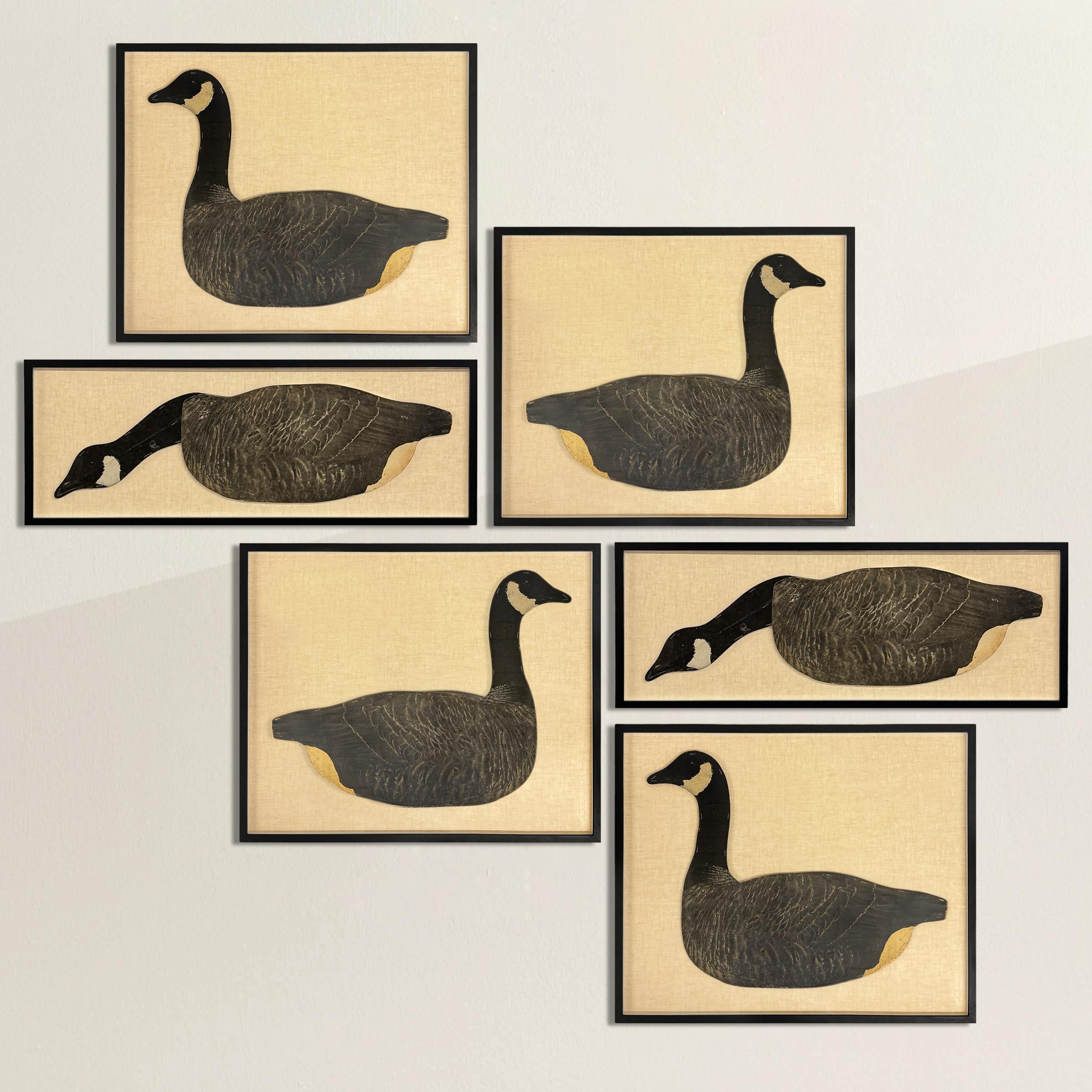 Early 20th Century Framed Canada Goose Decoy 3
