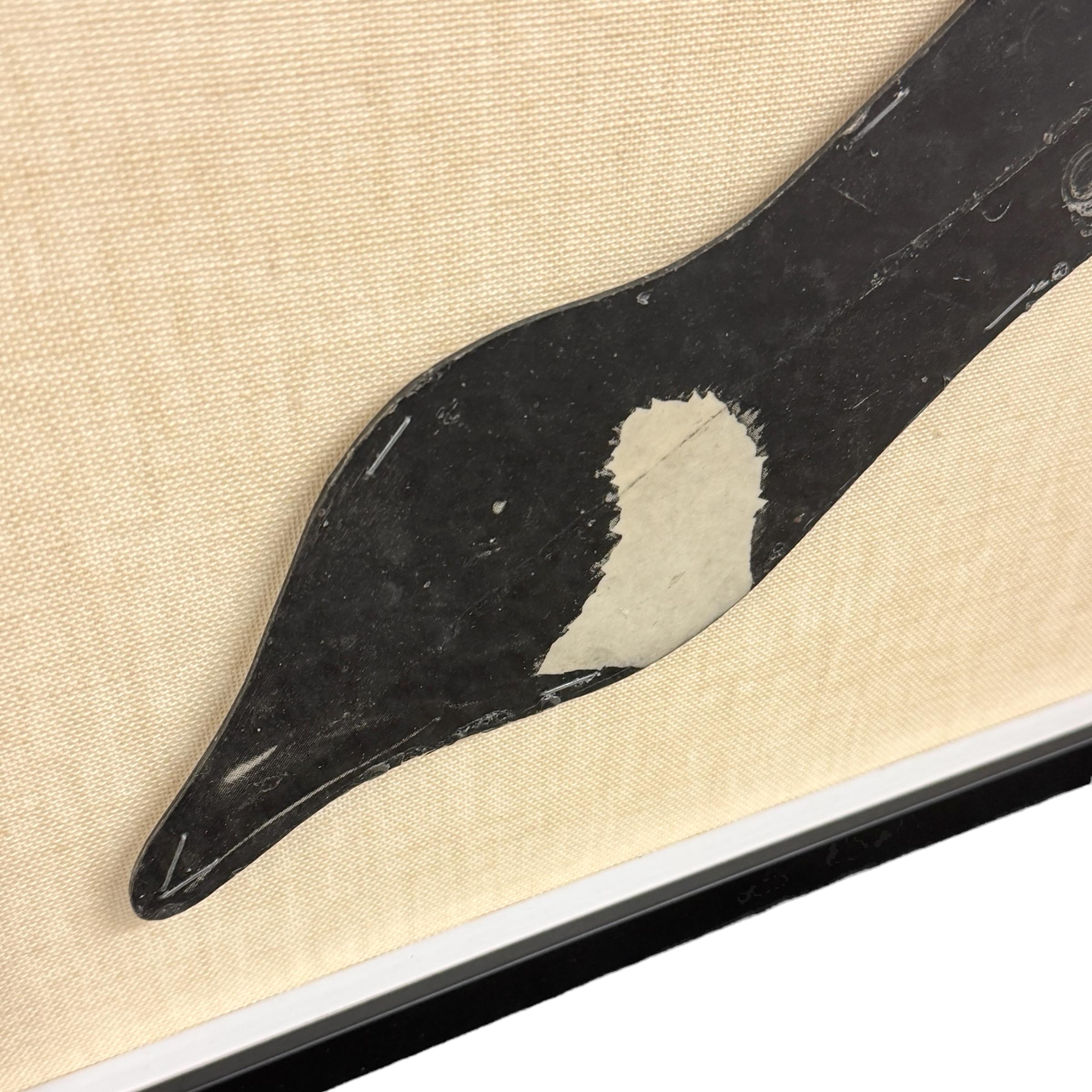 American Early 20th Century Framed Canada Goose Decoy