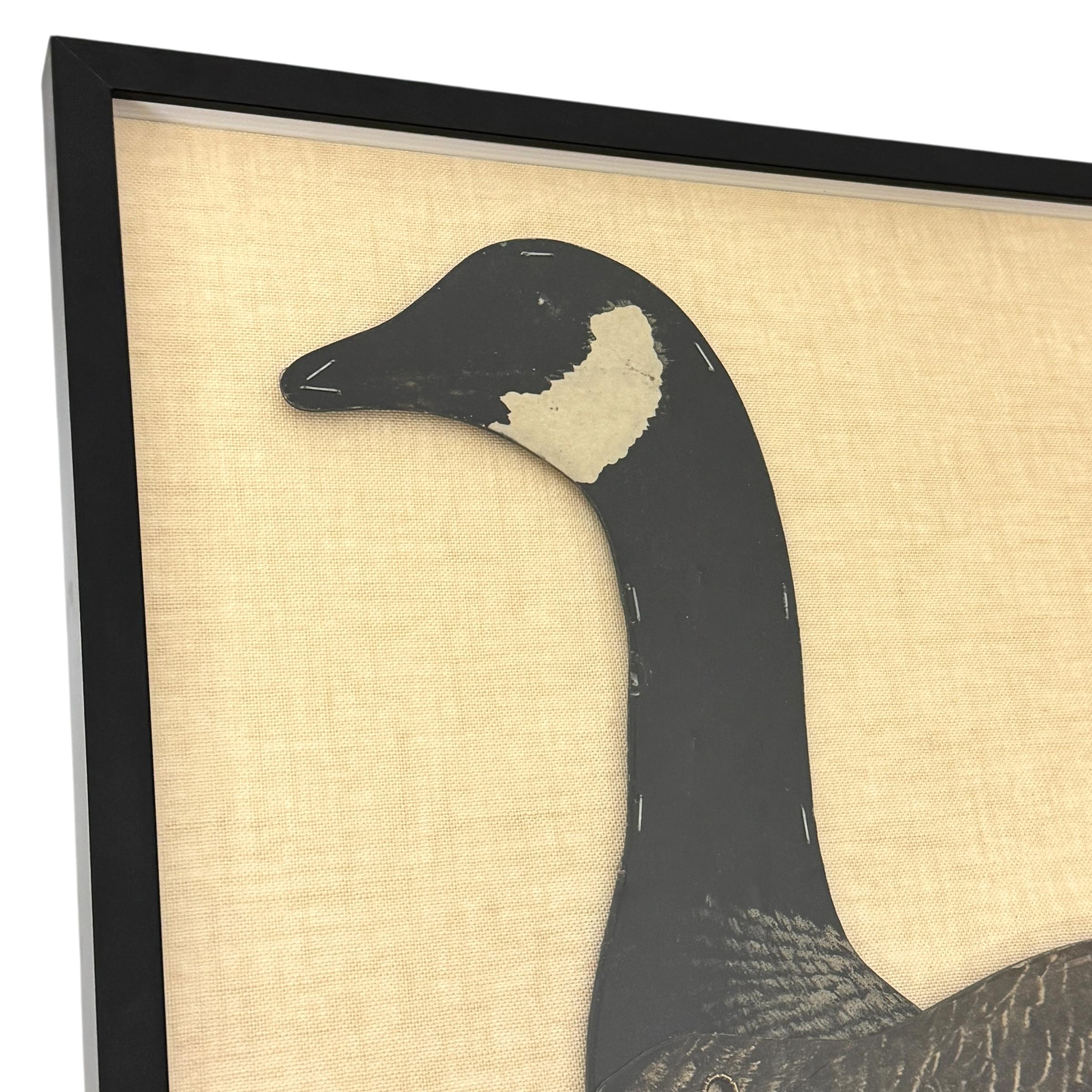 American Early 20th Century Framed Canada Goose Decoy