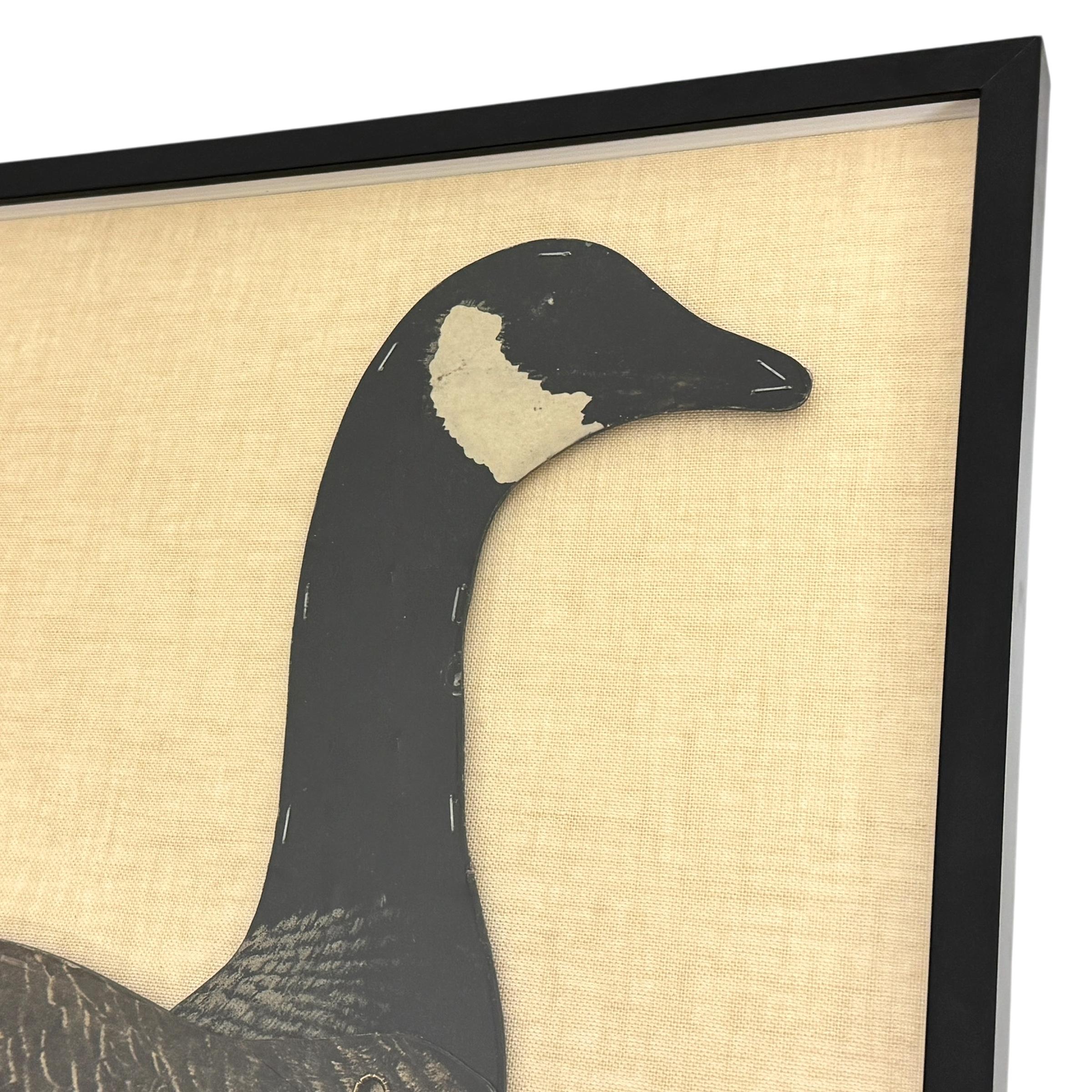 American Early 20th Century Framed Canada Goose Decoy