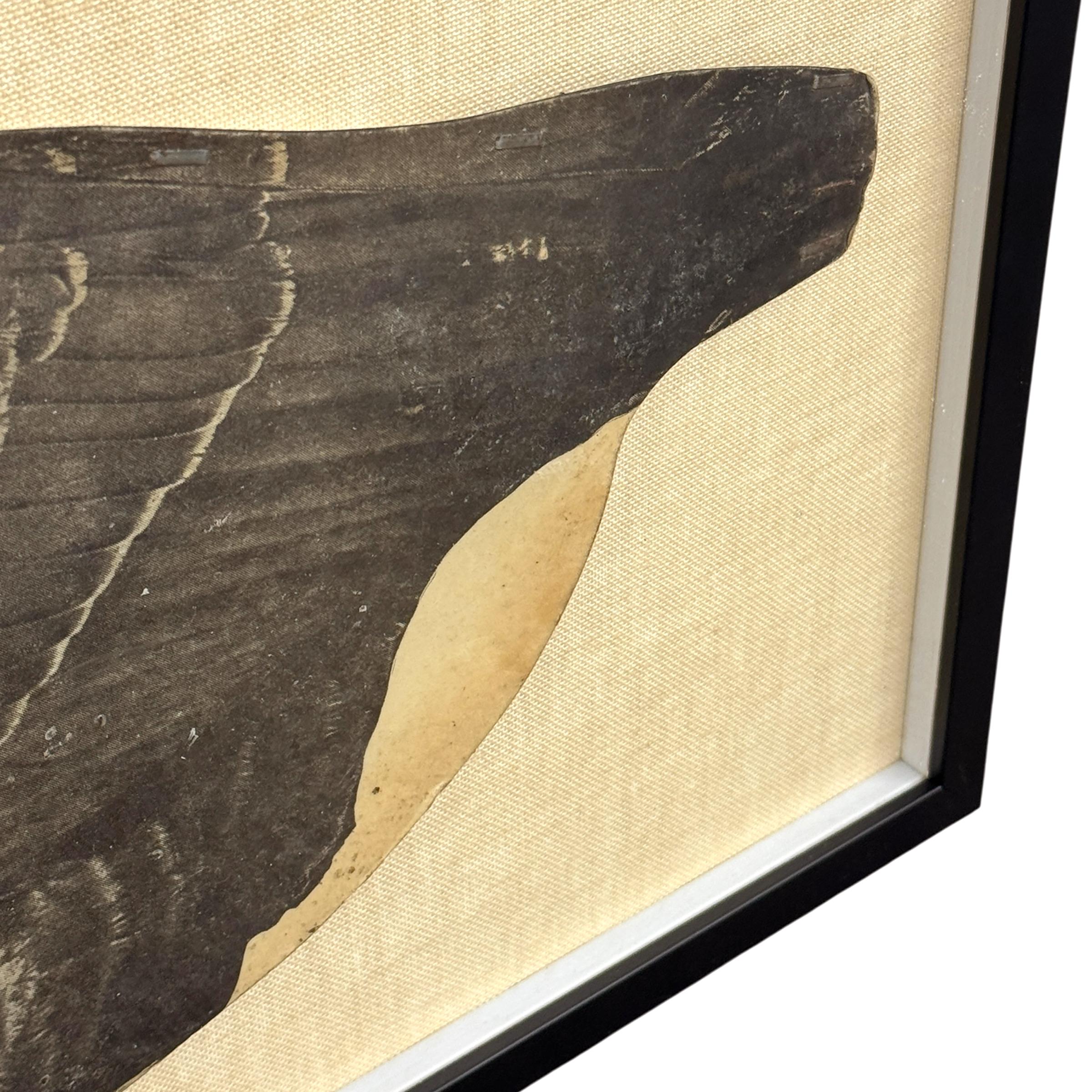 Mid-20th Century Early 20th Century Framed Canada Goose Decoy