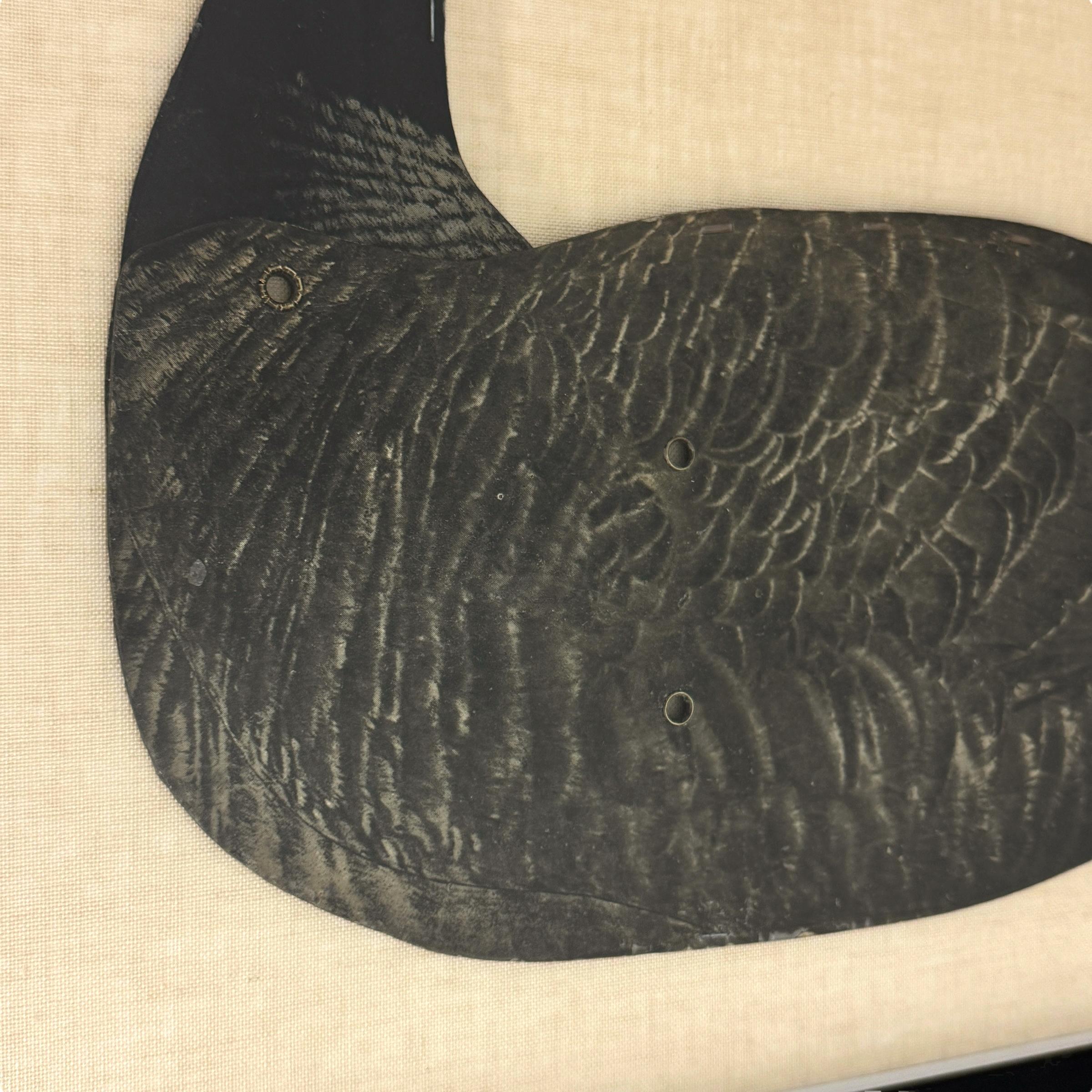 Mid-20th Century Early 20th Century Framed Canada Goose Decoy