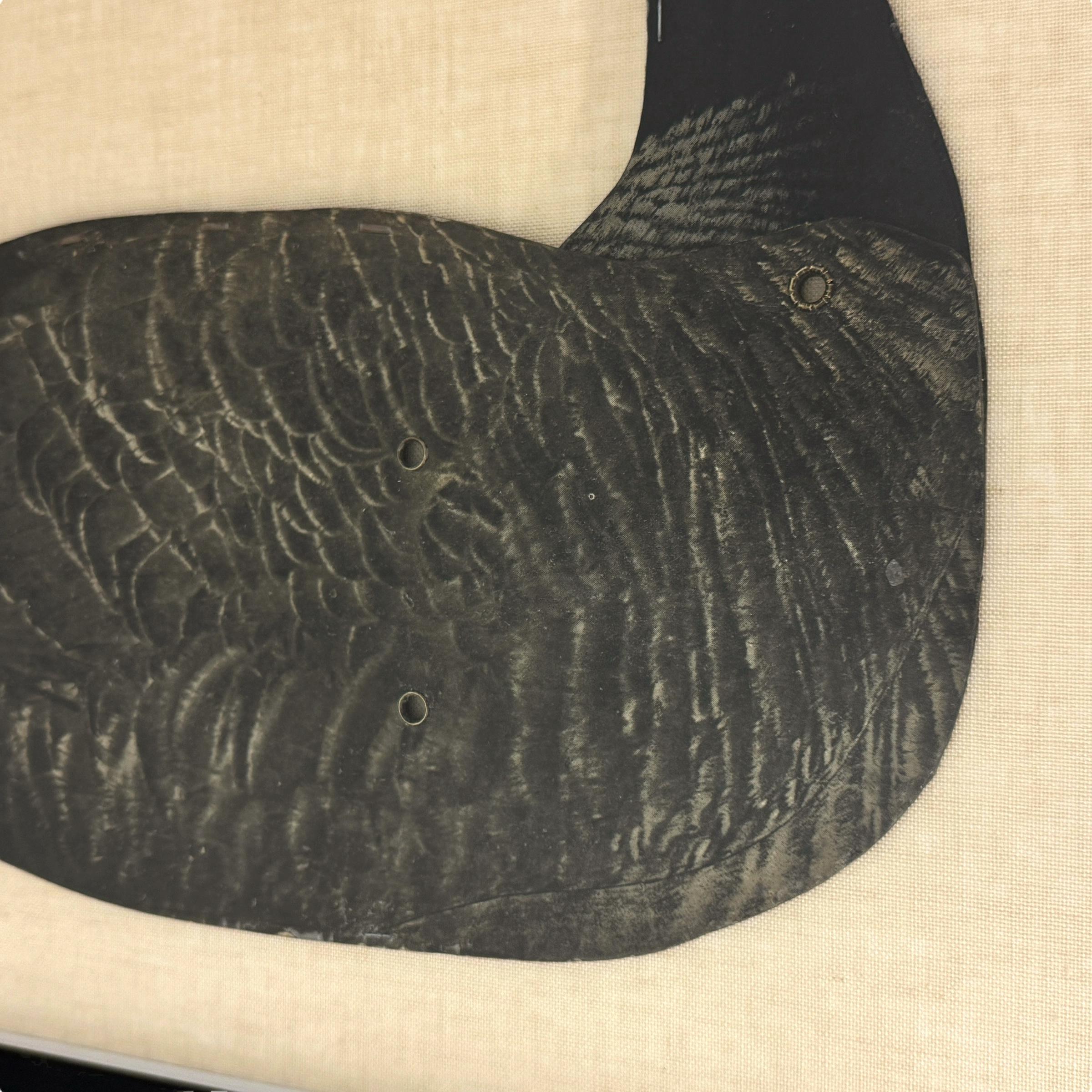 Mid-20th Century Early 20th Century Framed Canada Goose Decoy