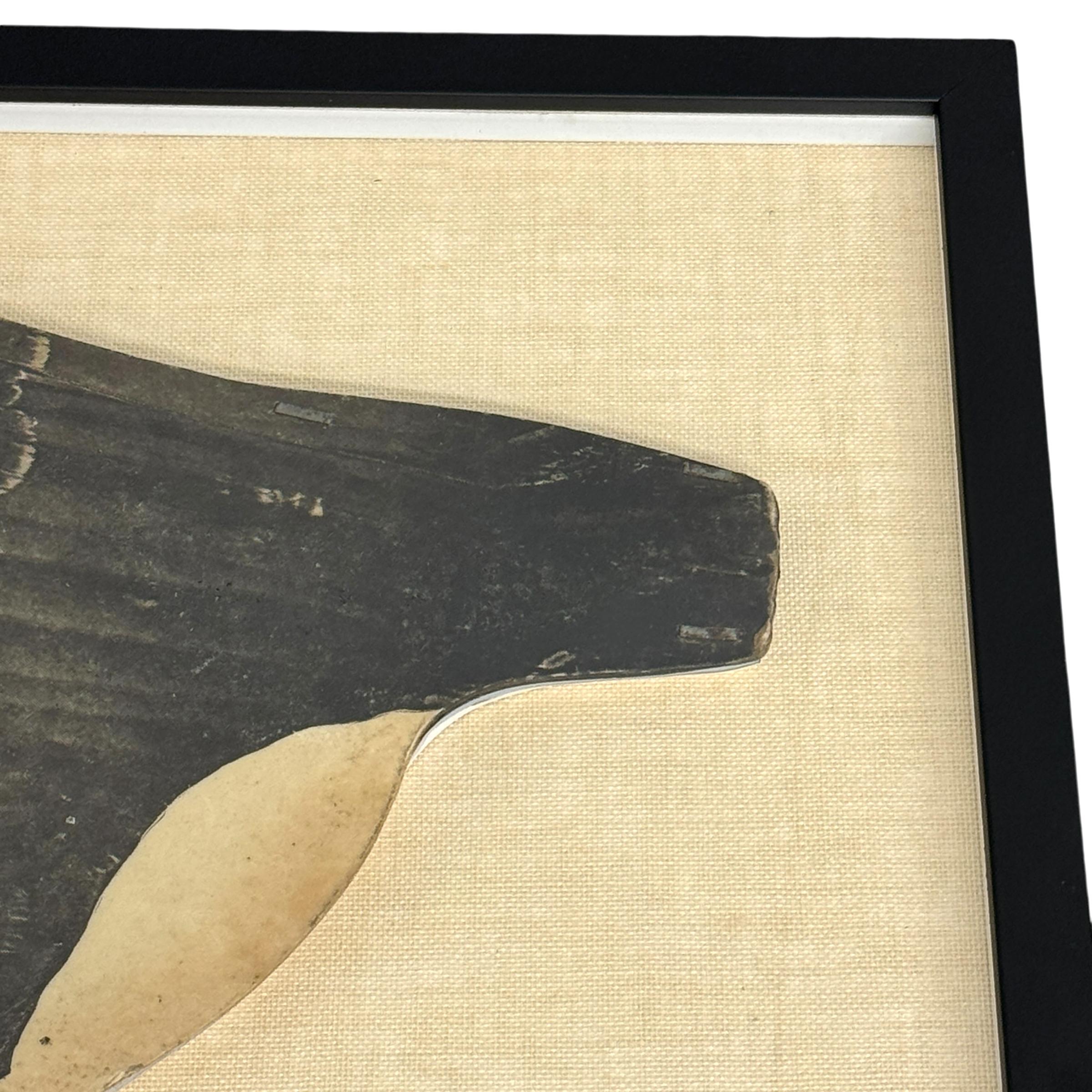 Paper Early 20th Century Framed Canada Goose Decoy