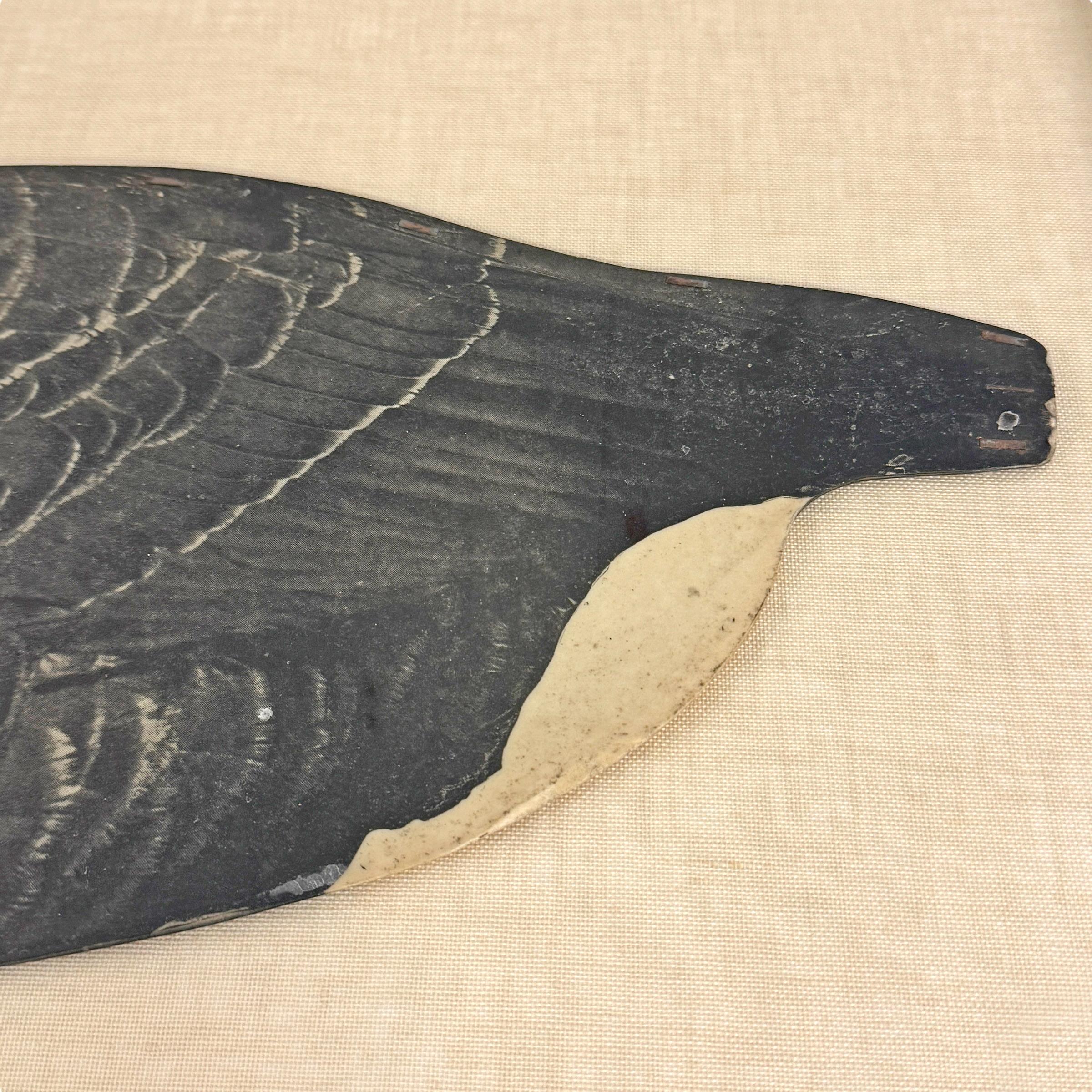 Early 20th Century Framed Canada Goose Decoy 1