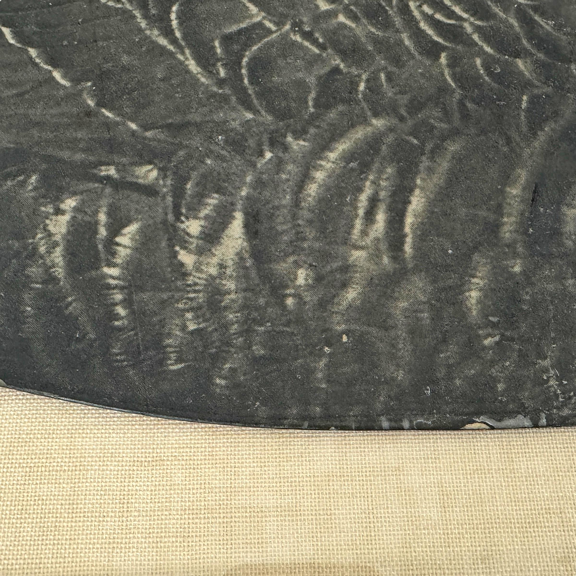 Early 20th Century Framed Canada Goose Decoy 2
