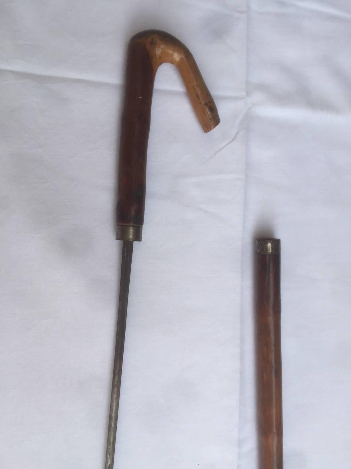 Early 20th Century, French Bamboo Dagger Cane 1