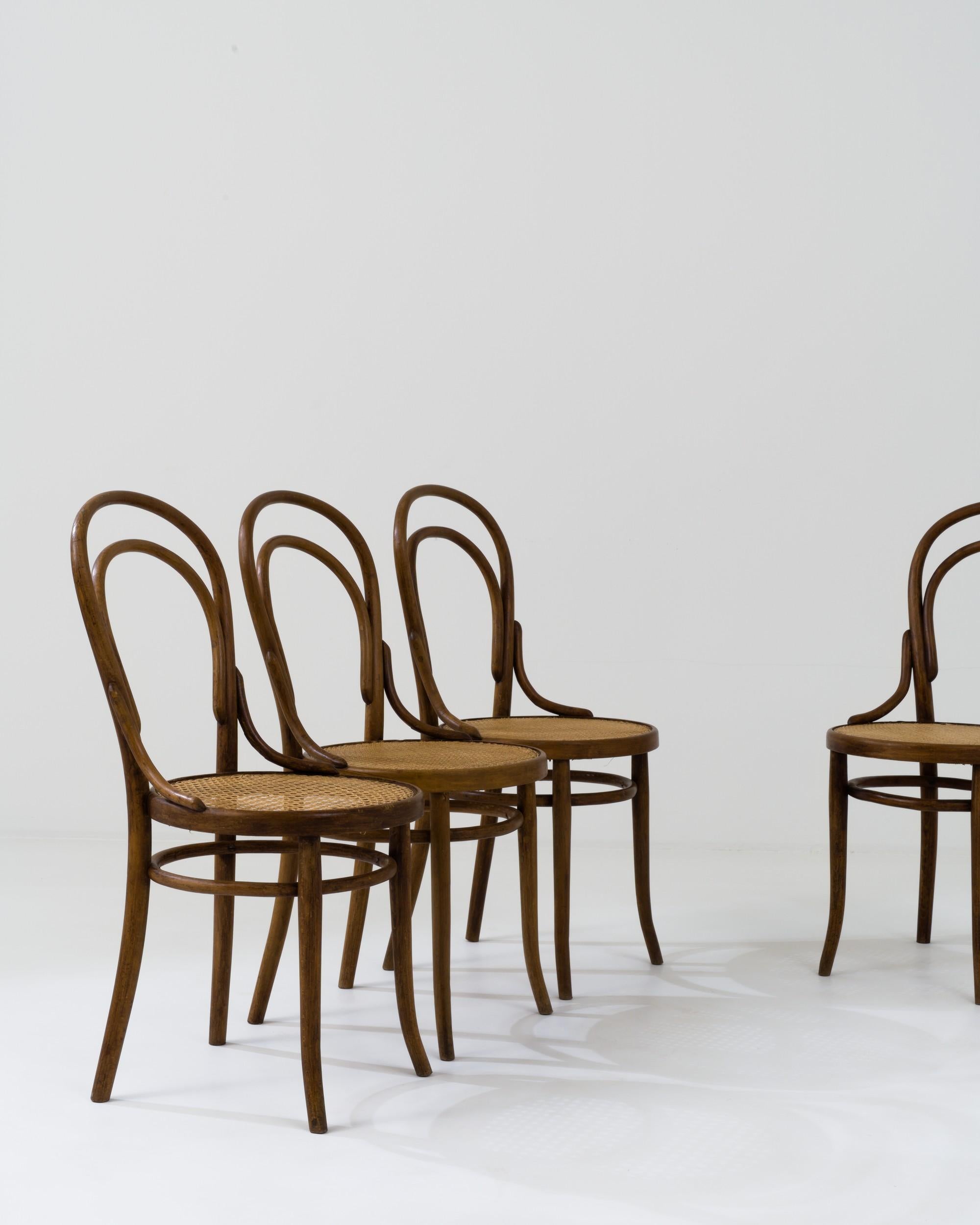 19th Century Early 20th Century French Bentwood Dining Chairs, Set of Four  For Sale