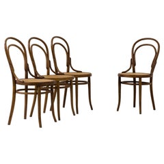 Antique Early 20th Century French Bentwood Dining Chairs, Set of Four 