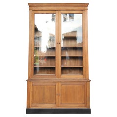 Early 20th Century French Bookcase Cabinet