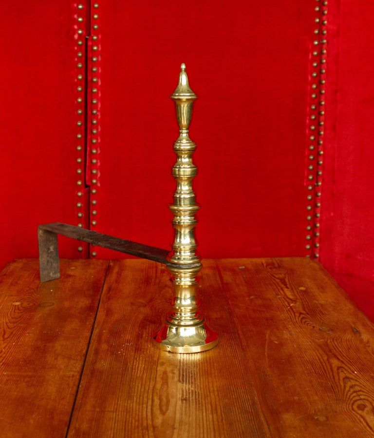 Pair of Early 20th Century French Brass Andirons For Sale at 1stDibs