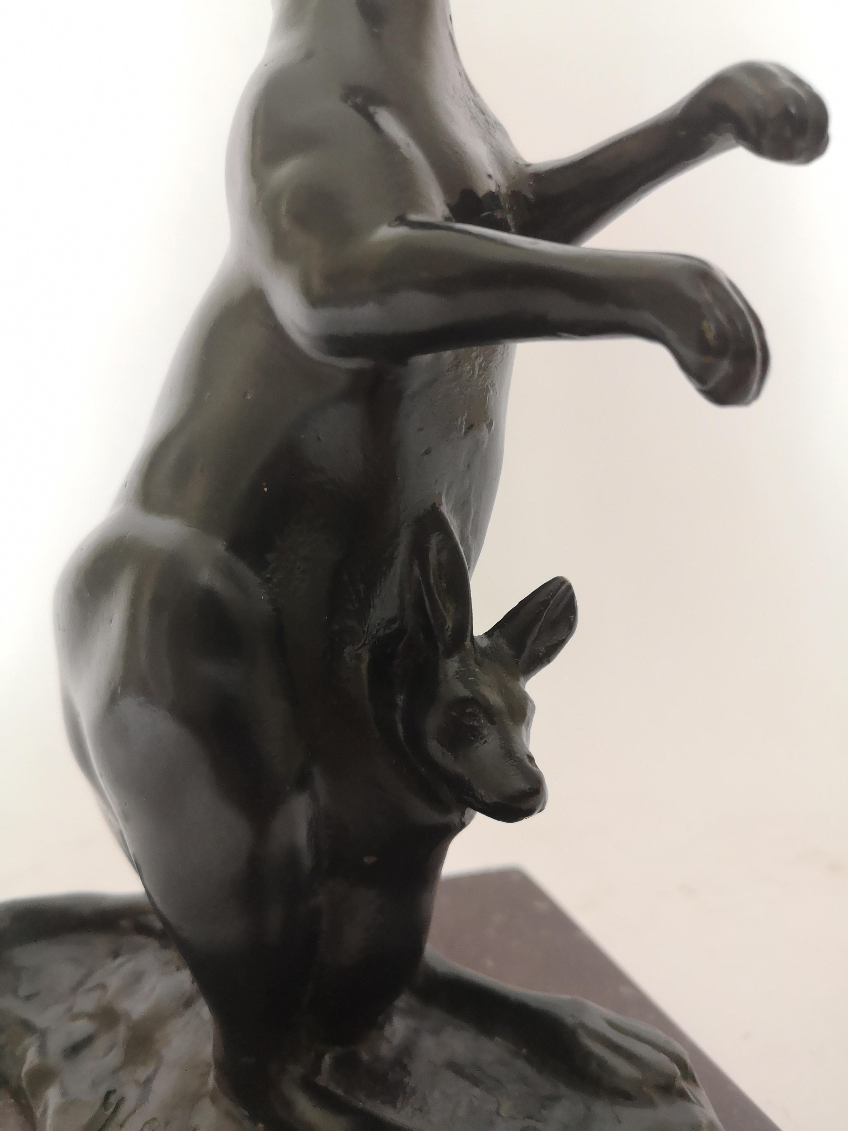 An early 20th century French bronze sculpture of a kangaroo with its Joey in pouch. On a marble base.
Signed by the sculptor H. Bouchard.
Henri Bouchard was born in Dijon in 1875. Working at a Burgundy ornamentalist to learn the basics of