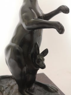 Early 20th Century French Bronze Kangaroo by Henri Bouchard